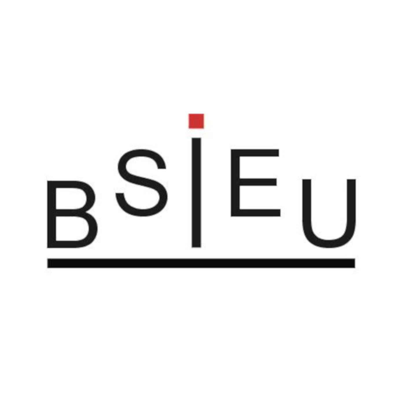 Interessegruppen BSIEU af Interessegruppen BSIEU