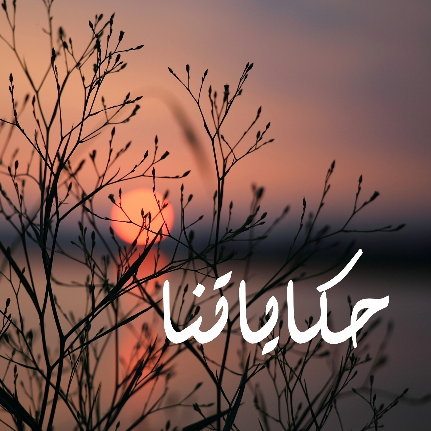 S01E01: البداية episode artwork