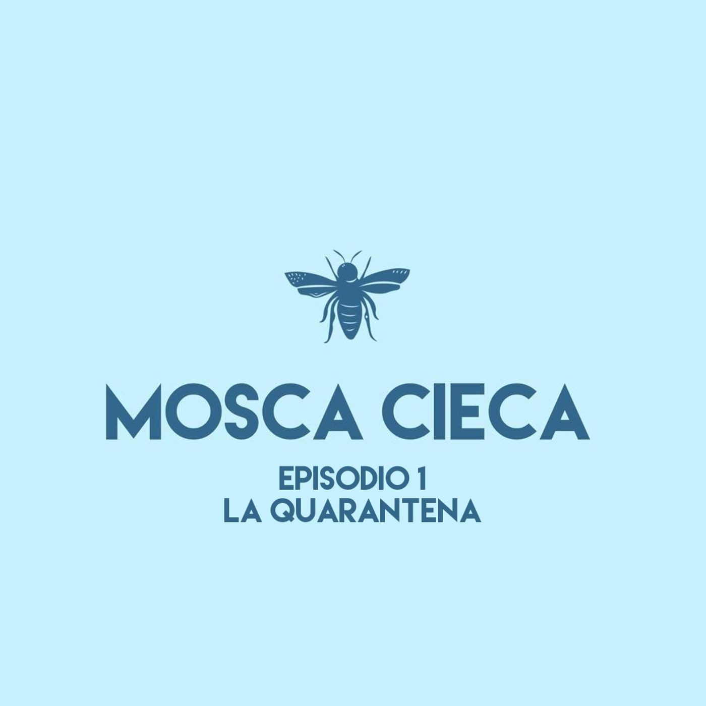 Episodio 1: la quarantena episode artwork