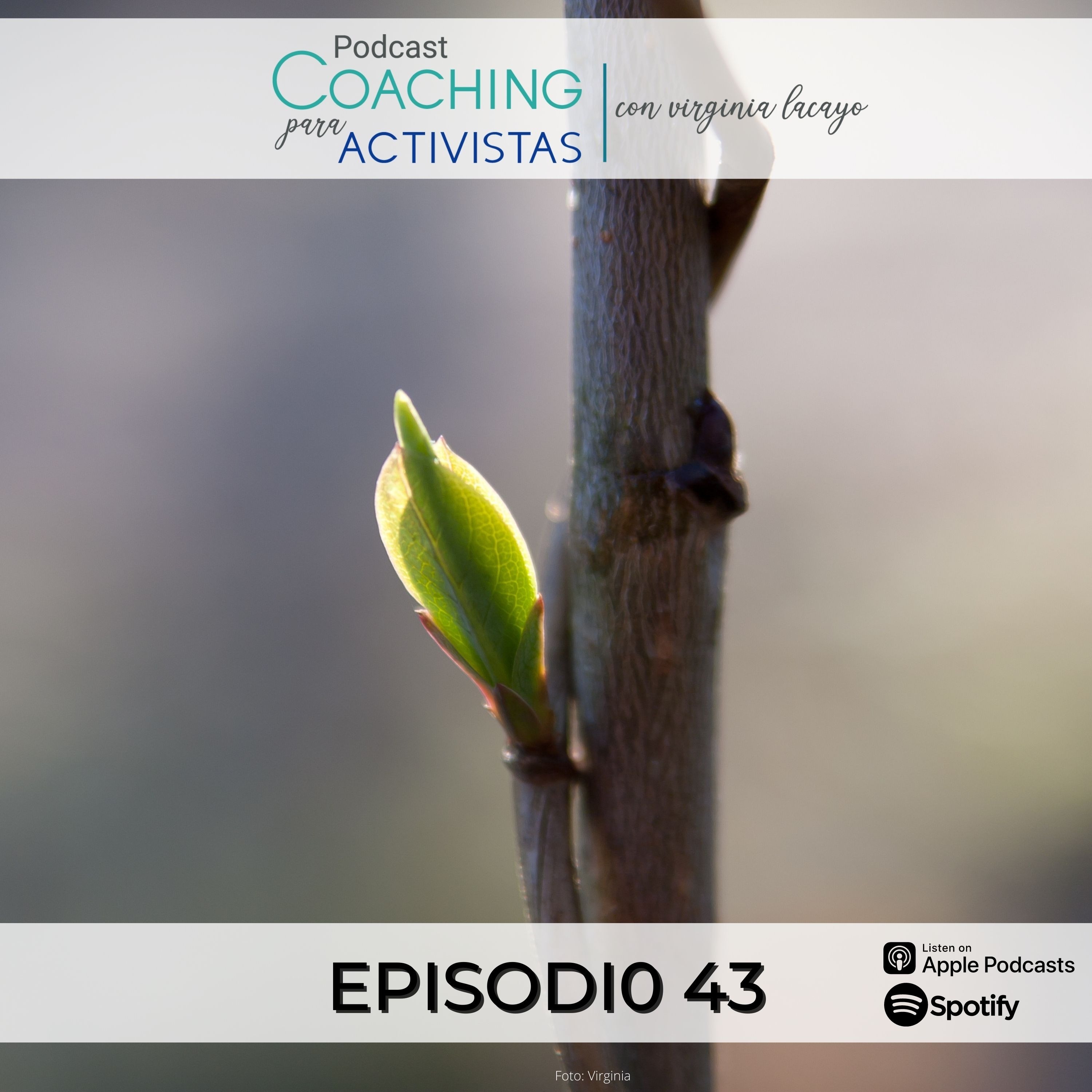 Indomable - Podcast con Virginia Lacayo