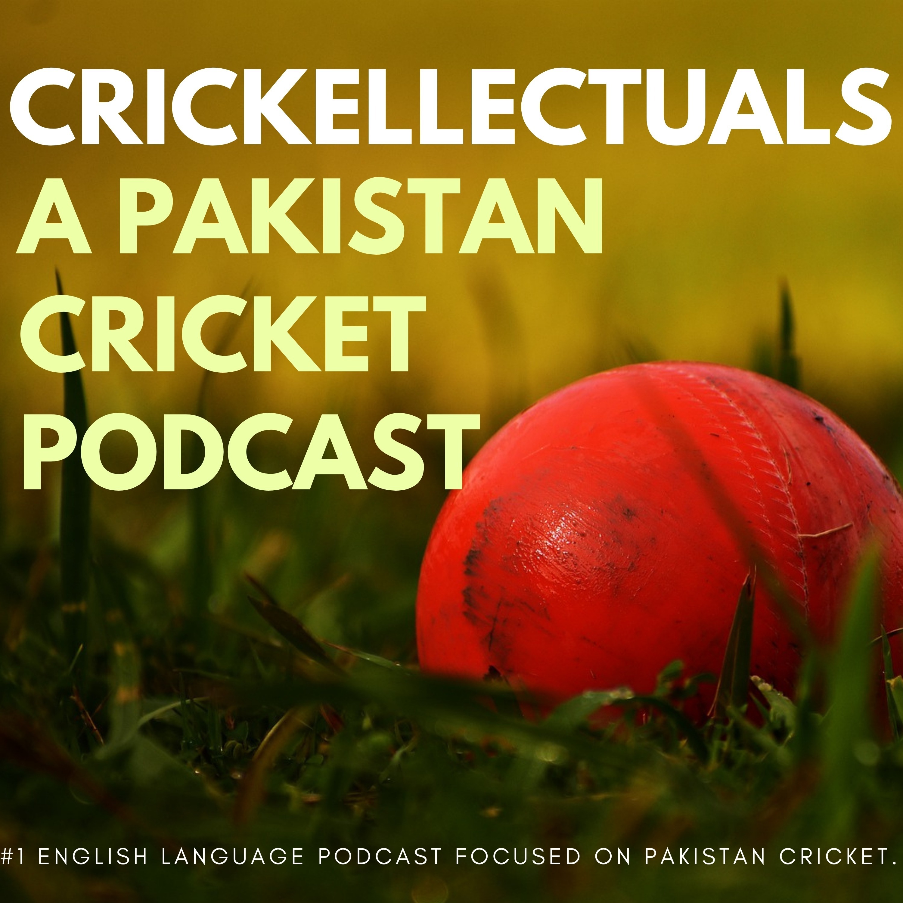 Ep. 8: How did Pakistan lose to Australia in the T20 Cricket World Cup Semi-Final Game?