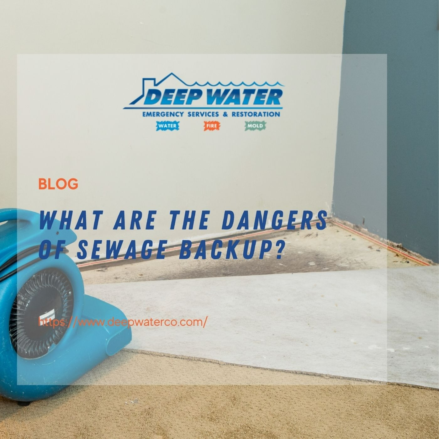 What are the Dangers of Sewage Backup?