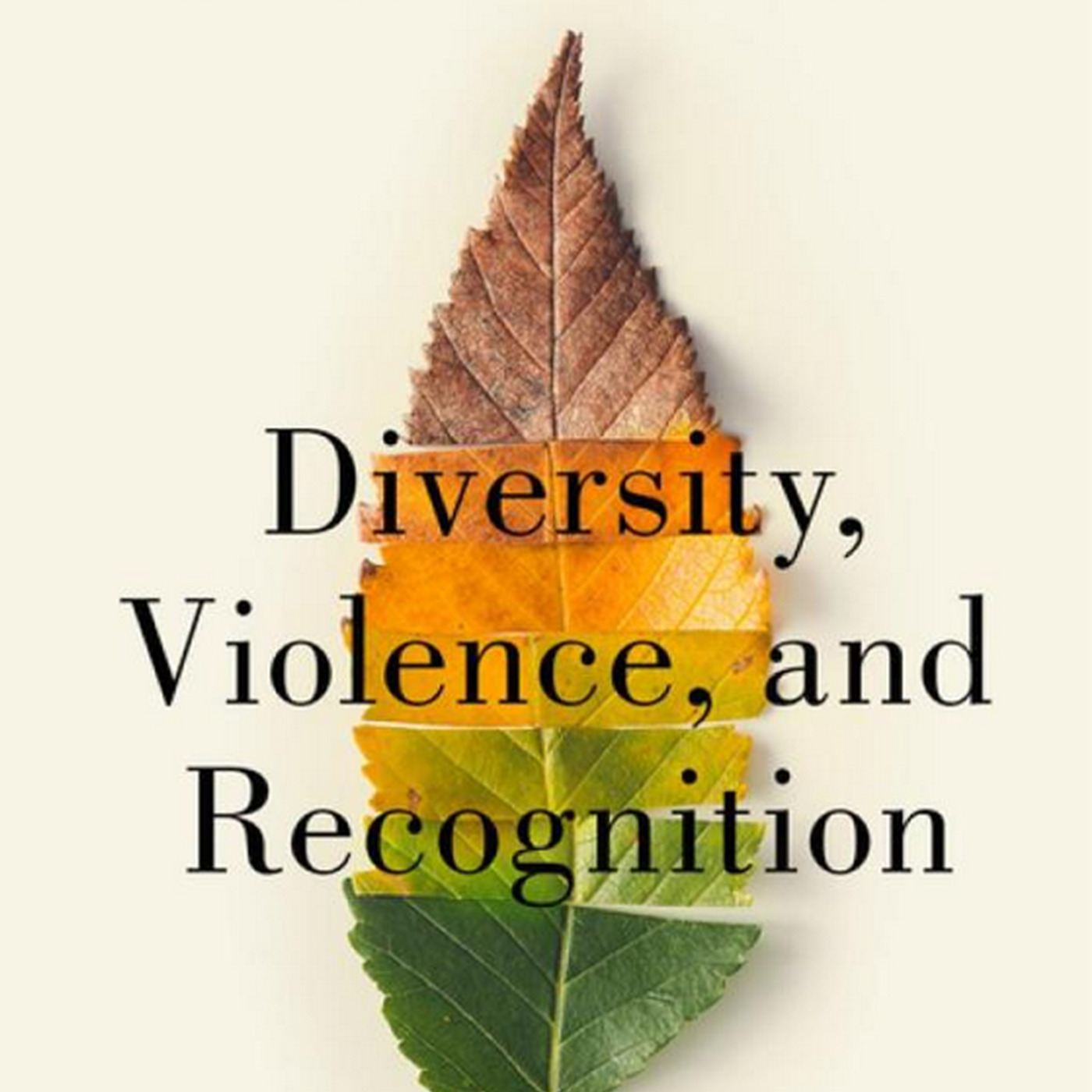 Diversity, Violence, and Recognition