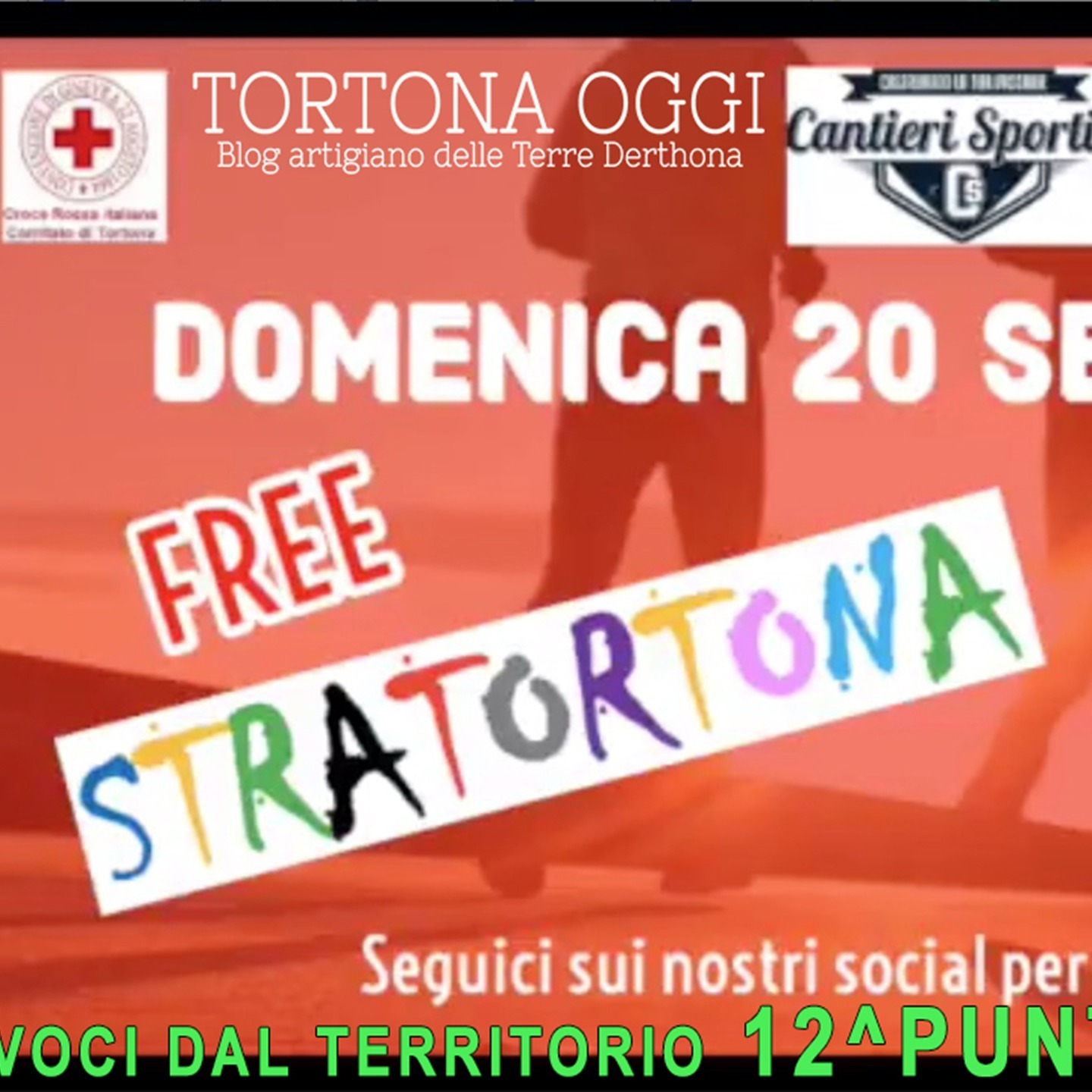 The Canteen User - VOCI DAL TERRITORIO