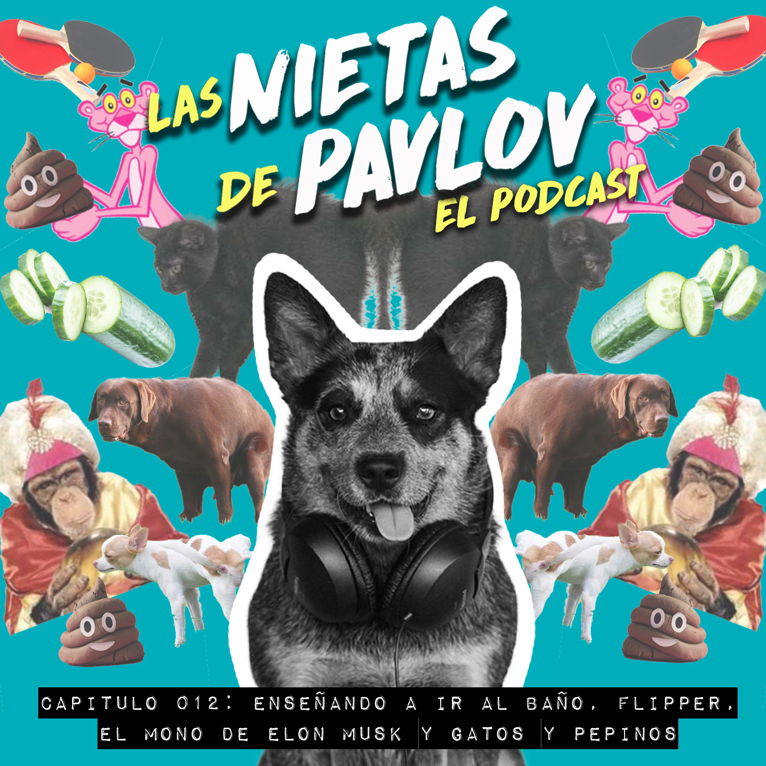 Las Nietas de Pavlov