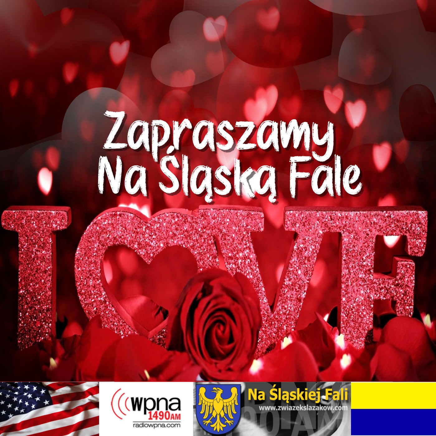 Serduszkowe Fale... NSF Chicago episode artwork
