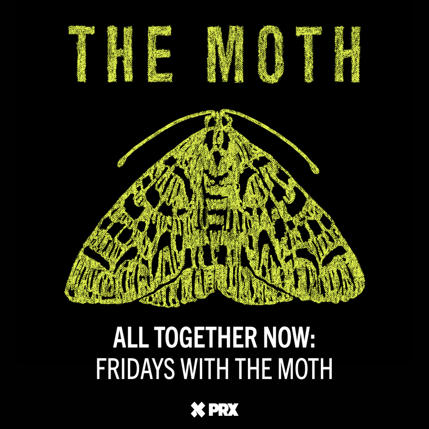 The Moth