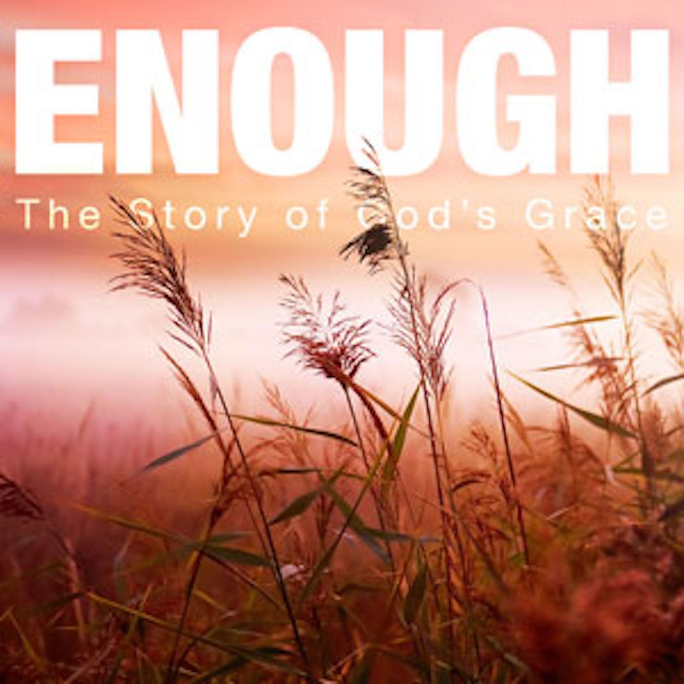 Enough, pt. 1 - Call to Freedom episode artwork
