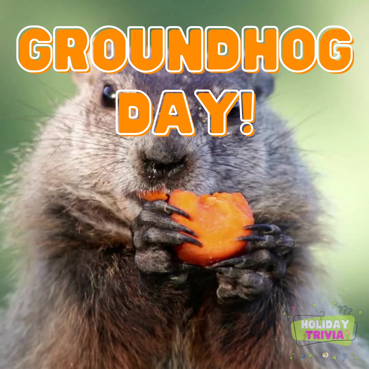 Episode #077 Groundhog Day! Image