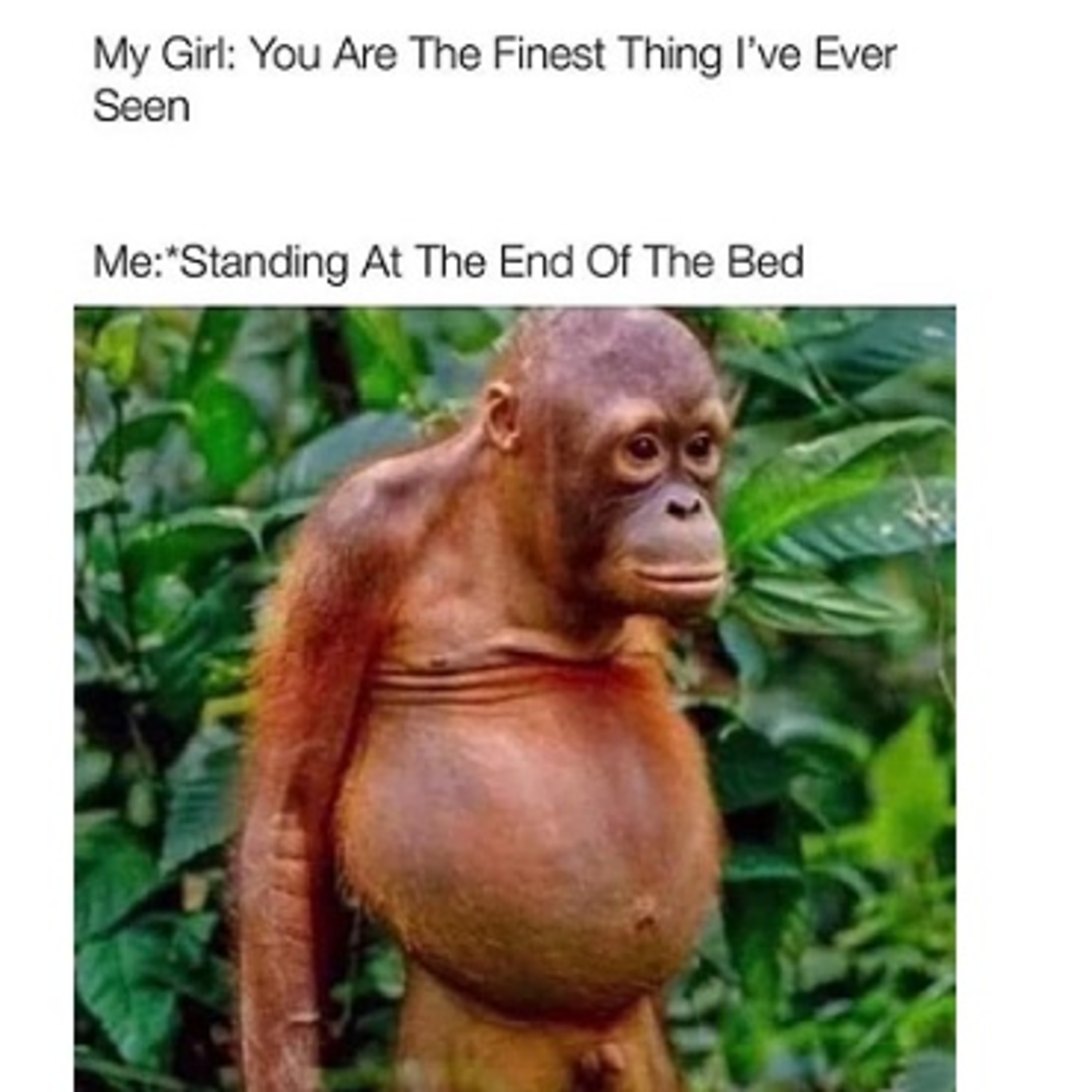 I Look Like That Monkey Picture