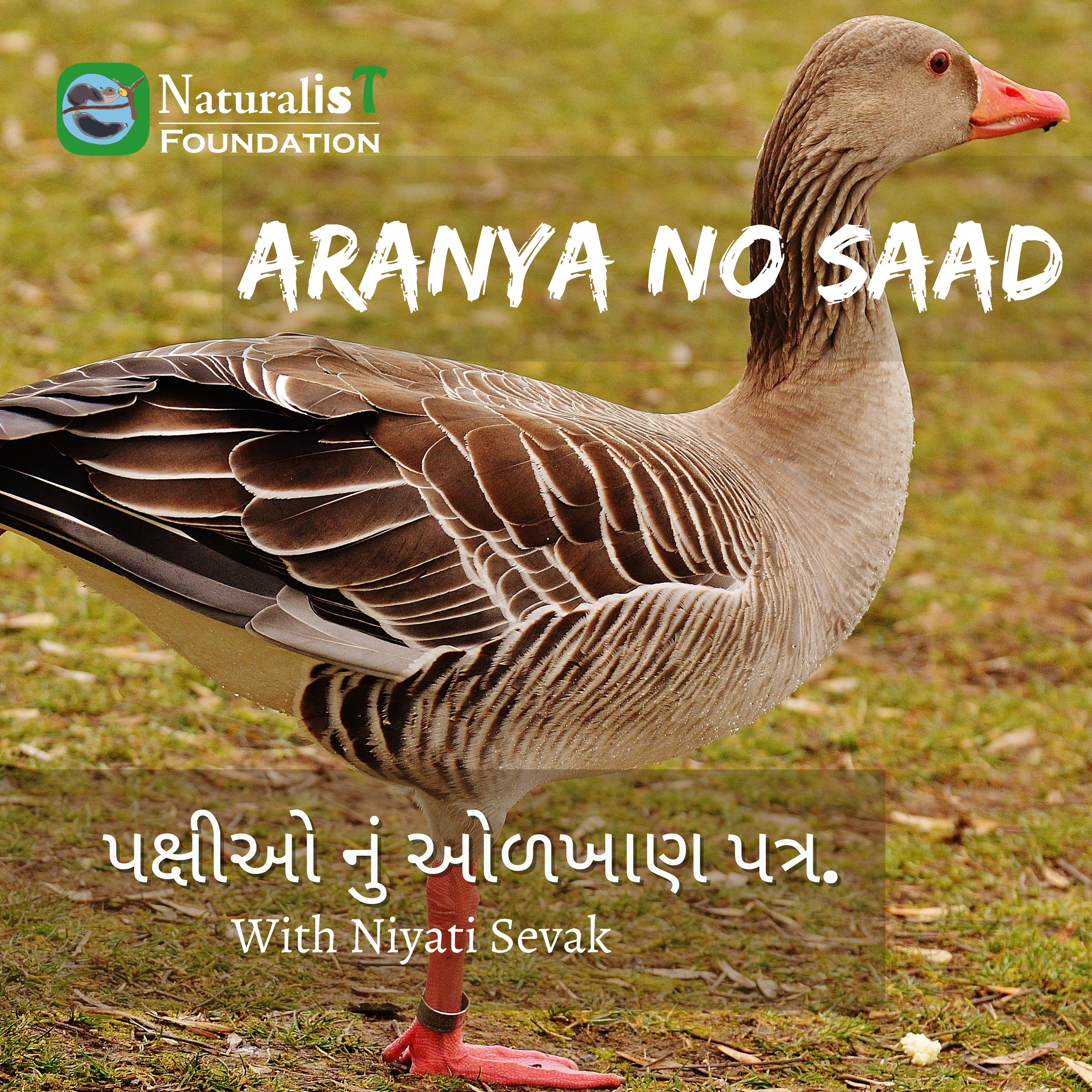 પક્ષીઓ નું ઓળખાણ પત્ર