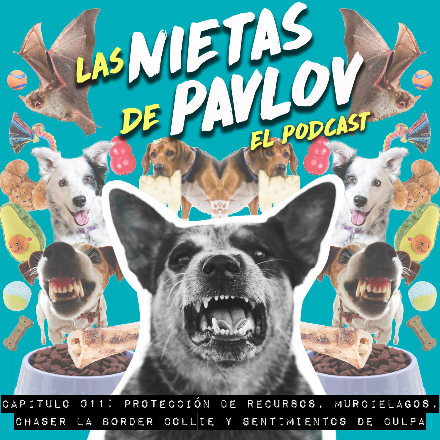 Las Nietas de Pavlov