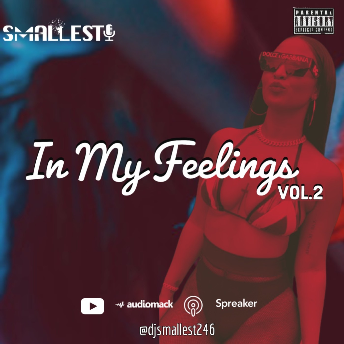 IN MY FEELINGS VOL.2 (Bad Gal Edition) | DJ SMALLEST IN MY FEELINGS VOL.2 (Bad Gal Edition) | DJ SMALLEST