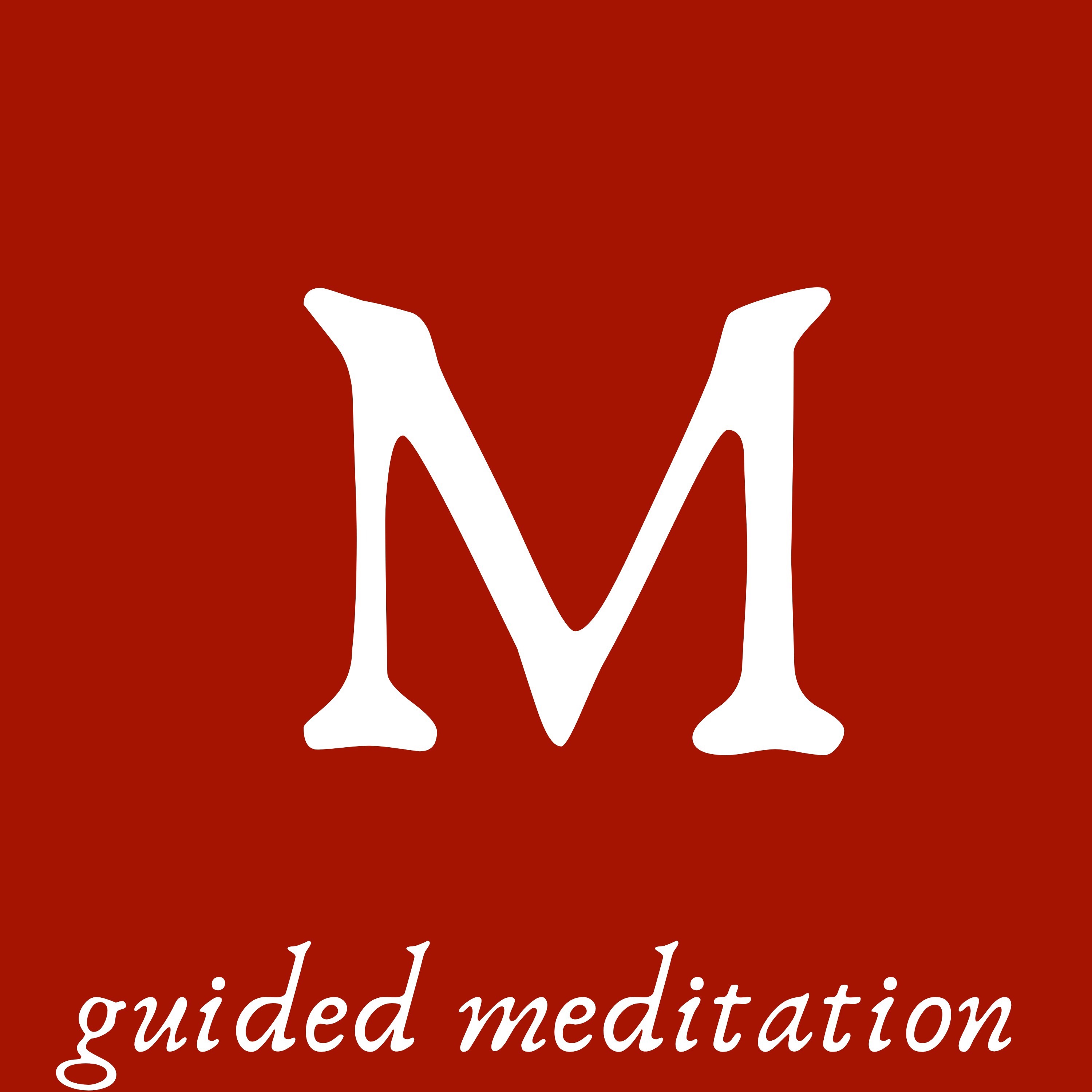 Bonus #3: Guided Meditation for Kids: The Enchanted Forest (Enhancing Academic Confidence & Self-Love)