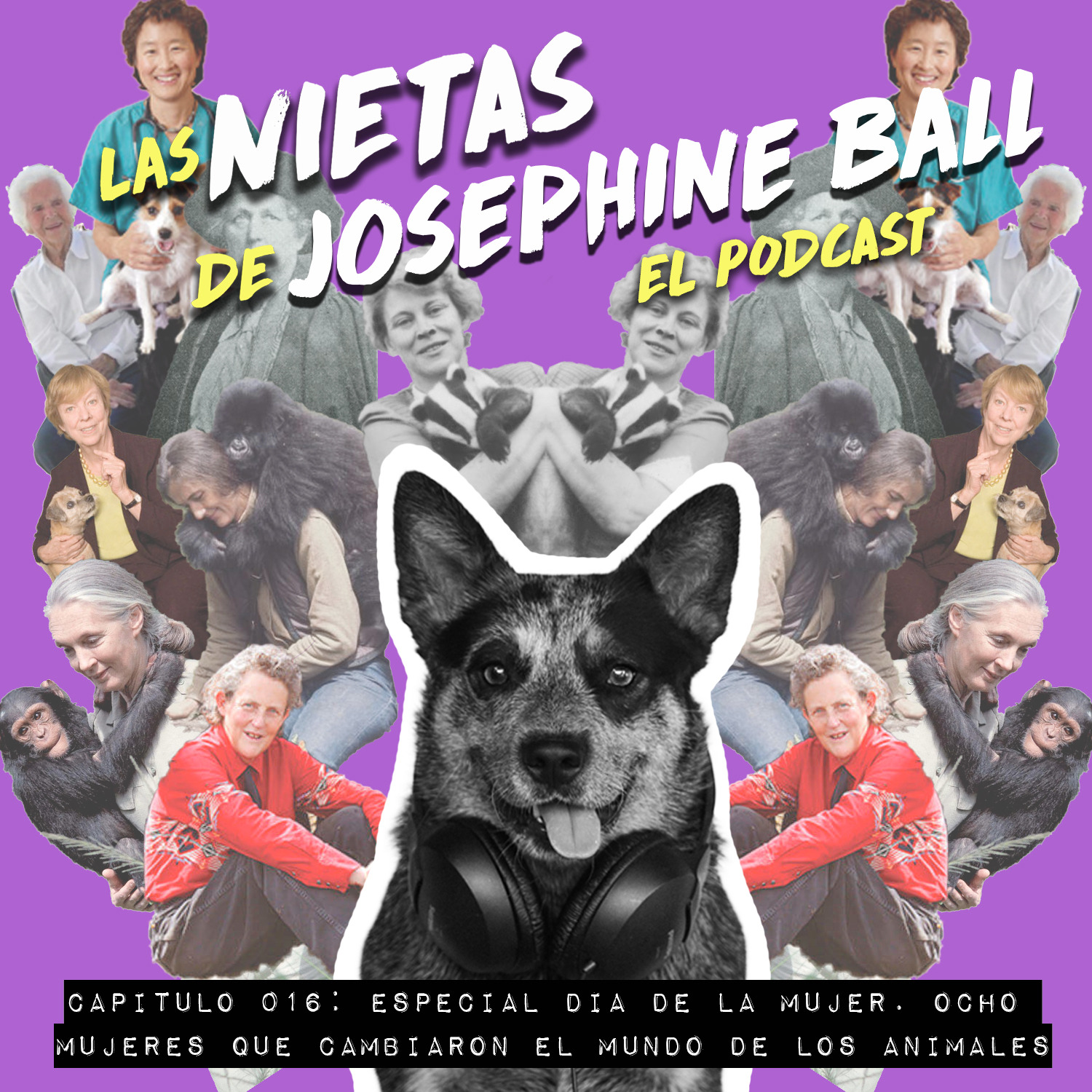 Las Nietas de Pavlov