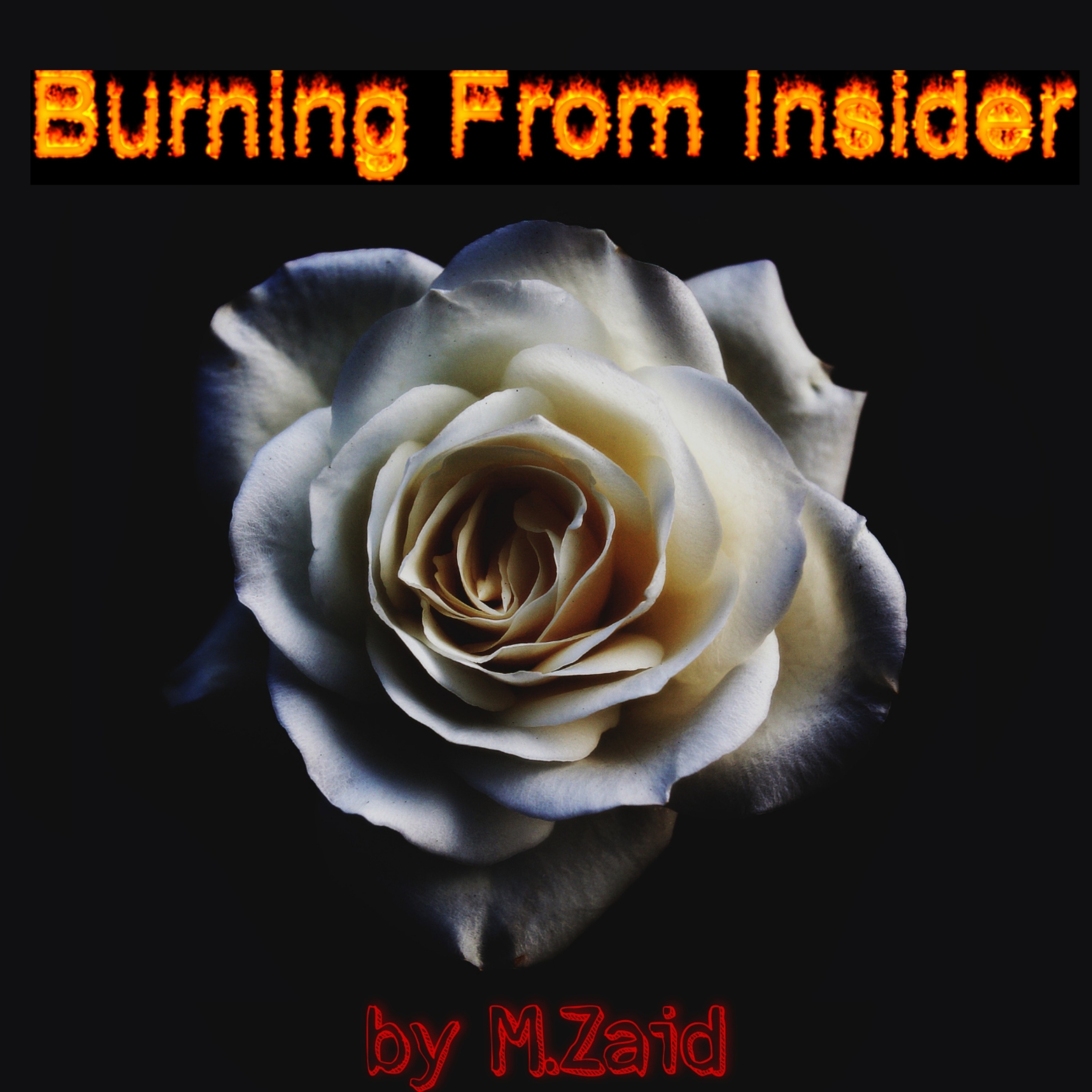 Audio Player Image