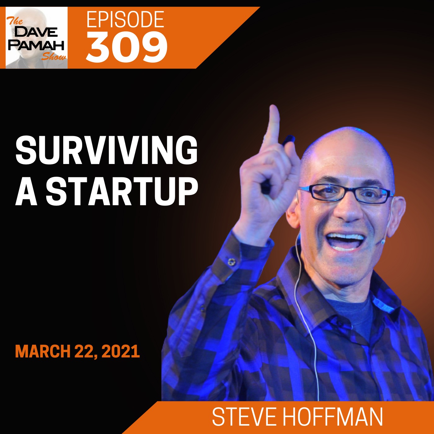 Surviving a Startup with Steve Hoffman Image