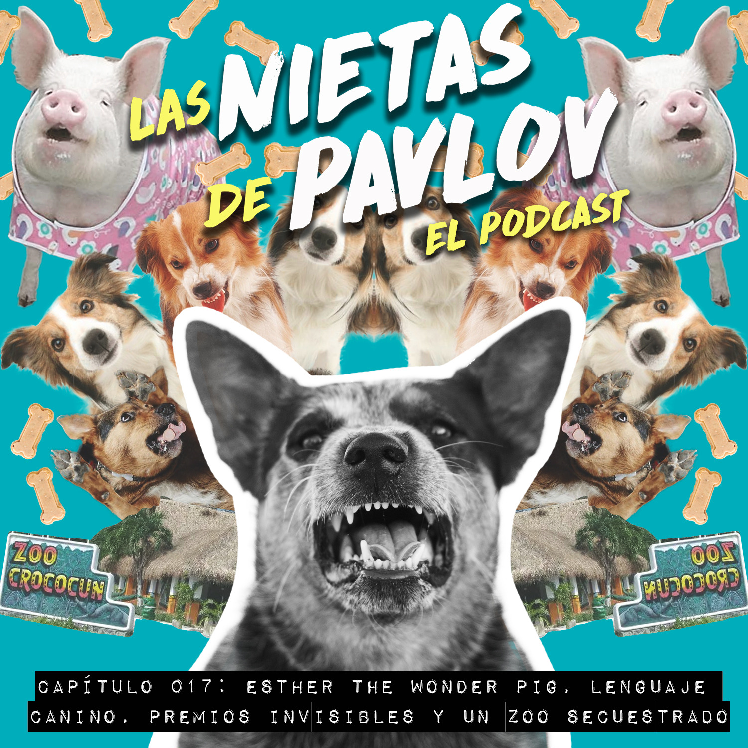 Las Nietas de Pavlov