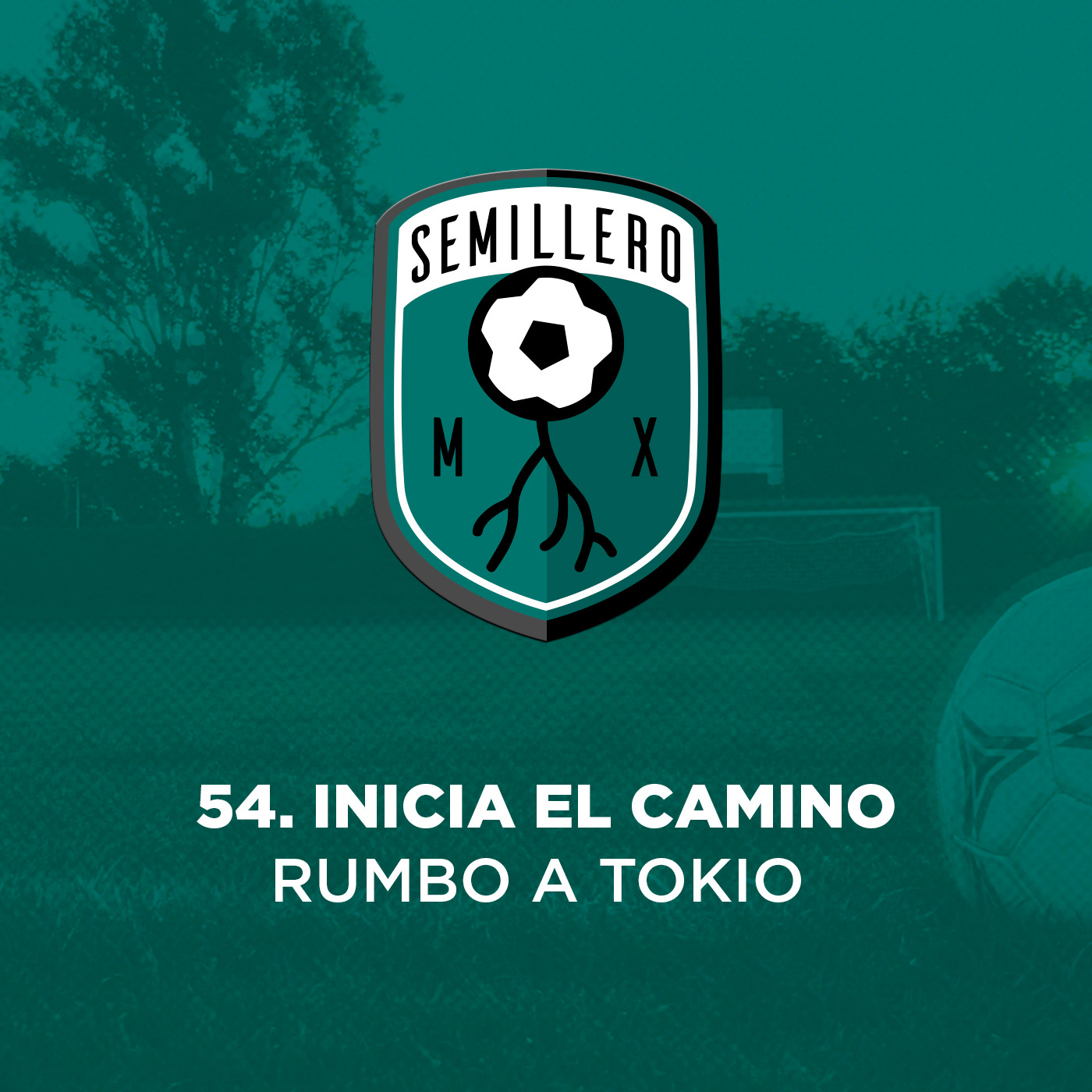 54 Inicia el camino rumbo a Tokio episode artwork
