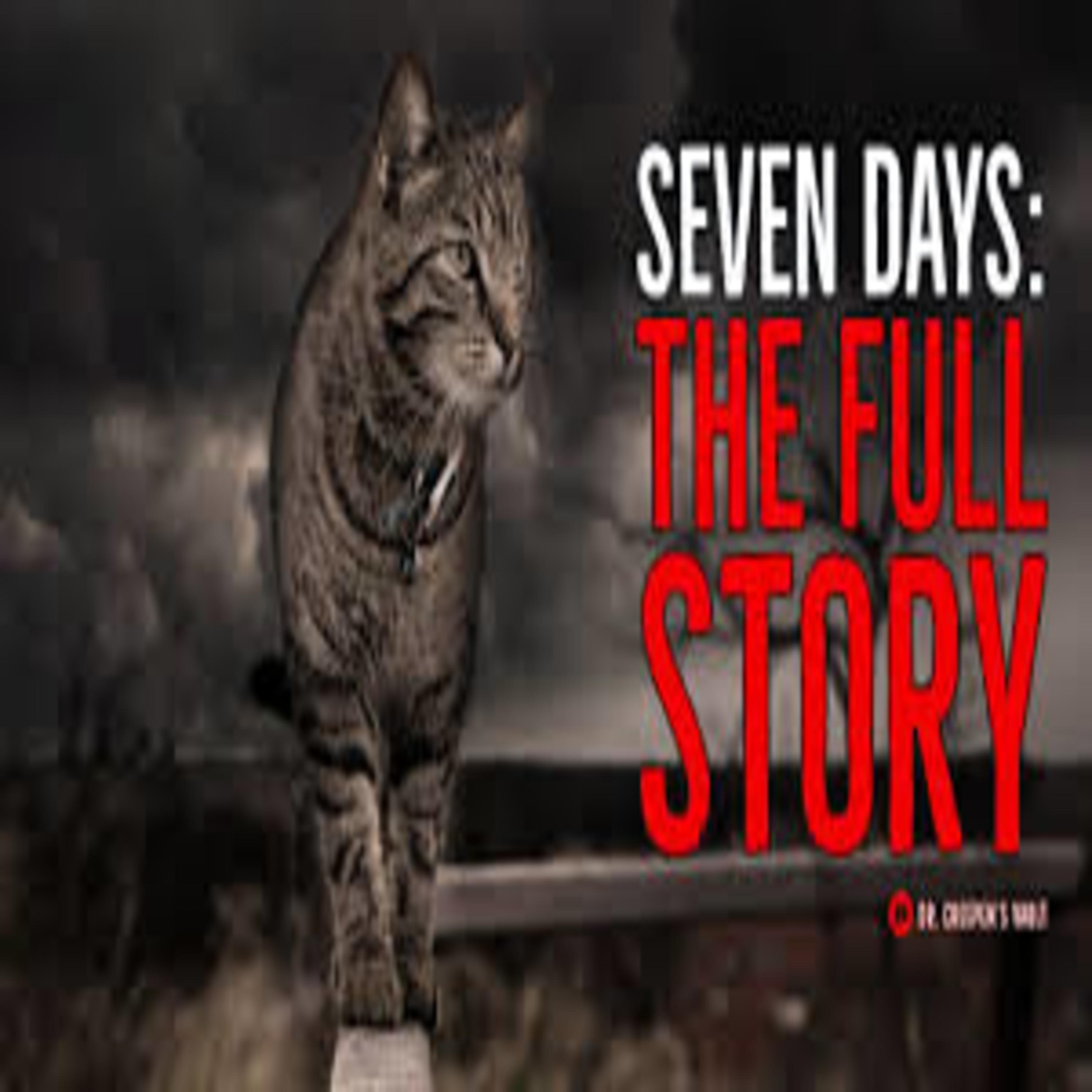 Seven Days episode artwork