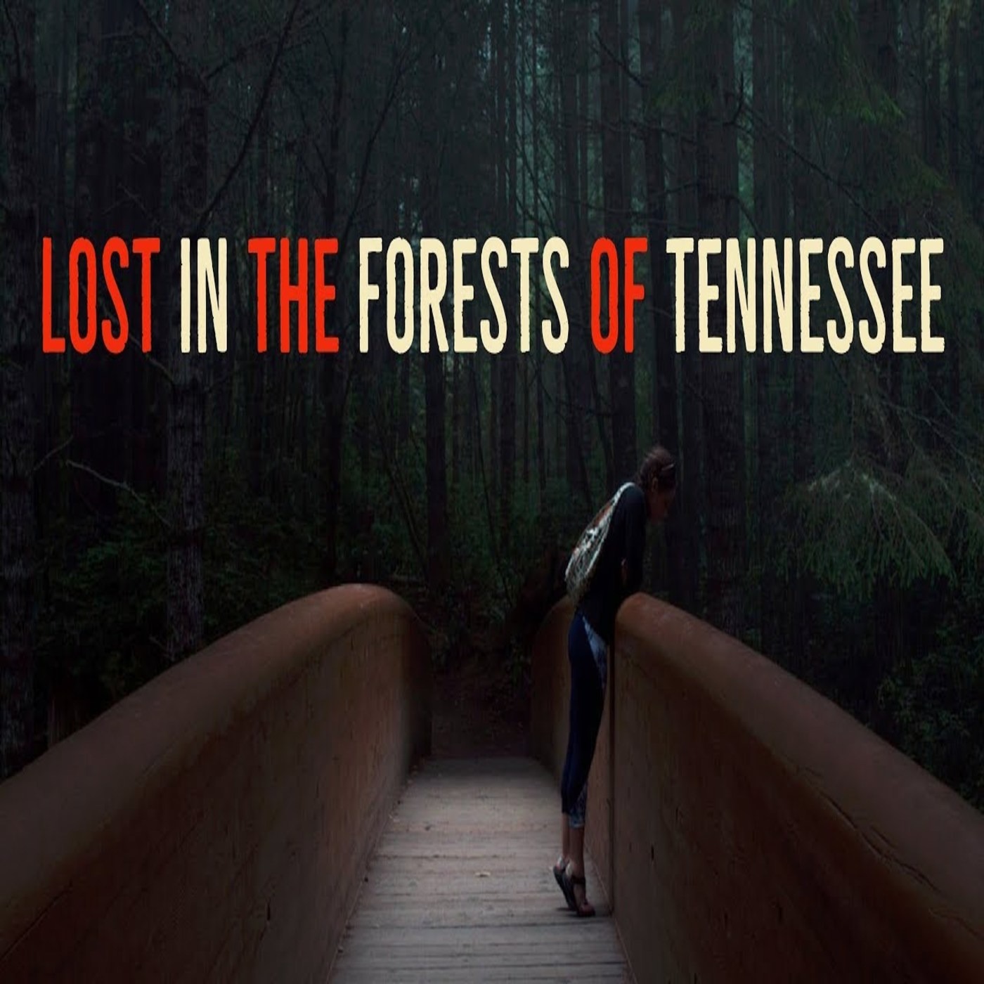 Lost in the Forests of Tennessee Epic Skinwalker Story episode artwork