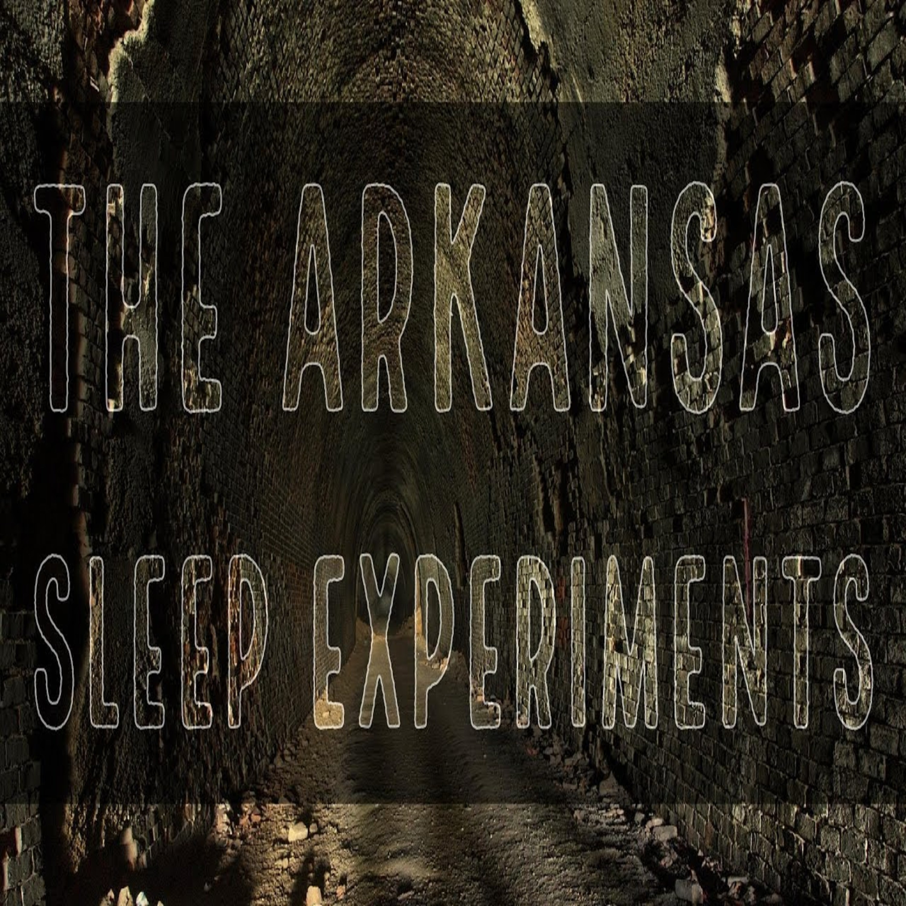 The Arkansas Sleep Experiments episode artwork
