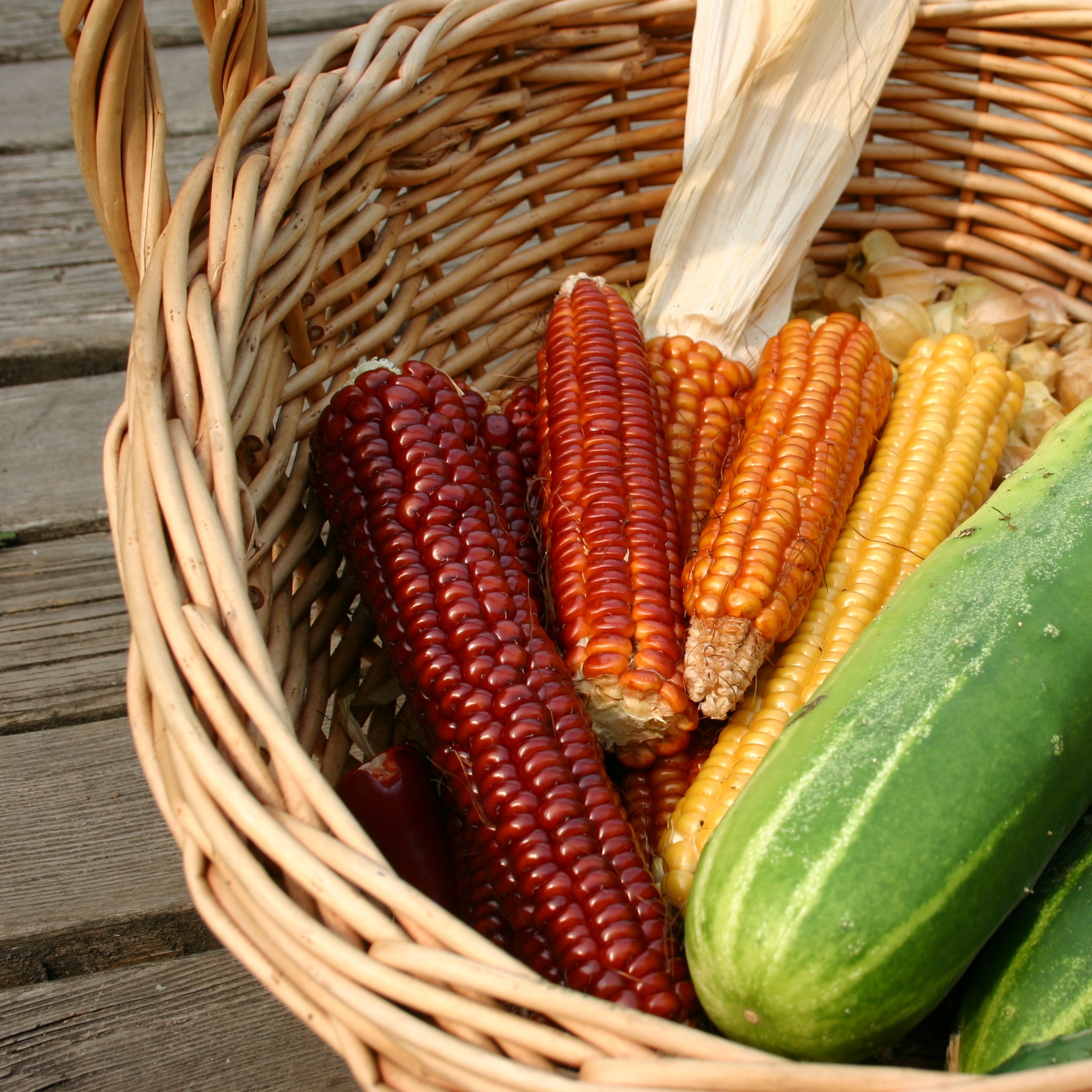 I Love Corn