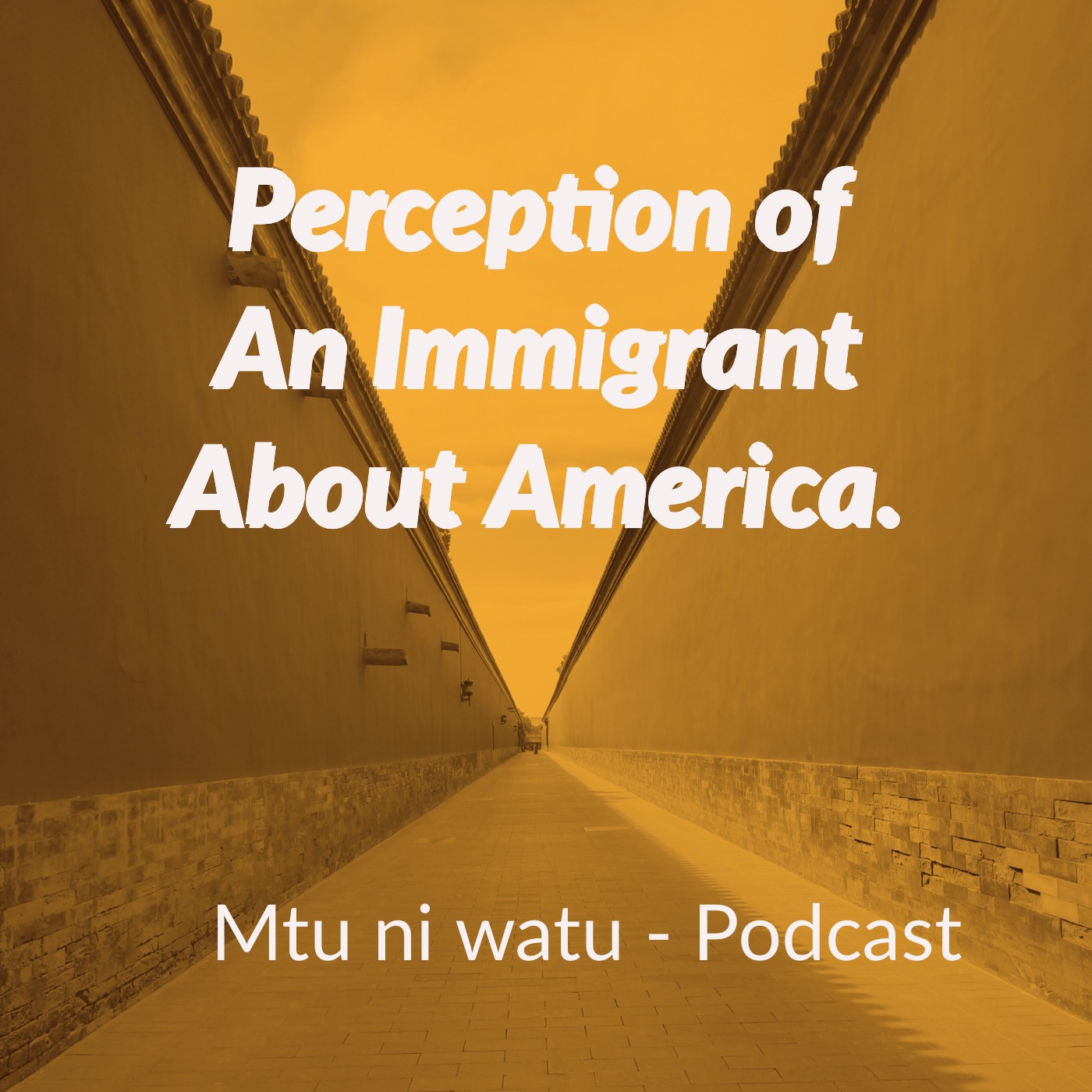 Perception of An Immigrant About America episode artwork