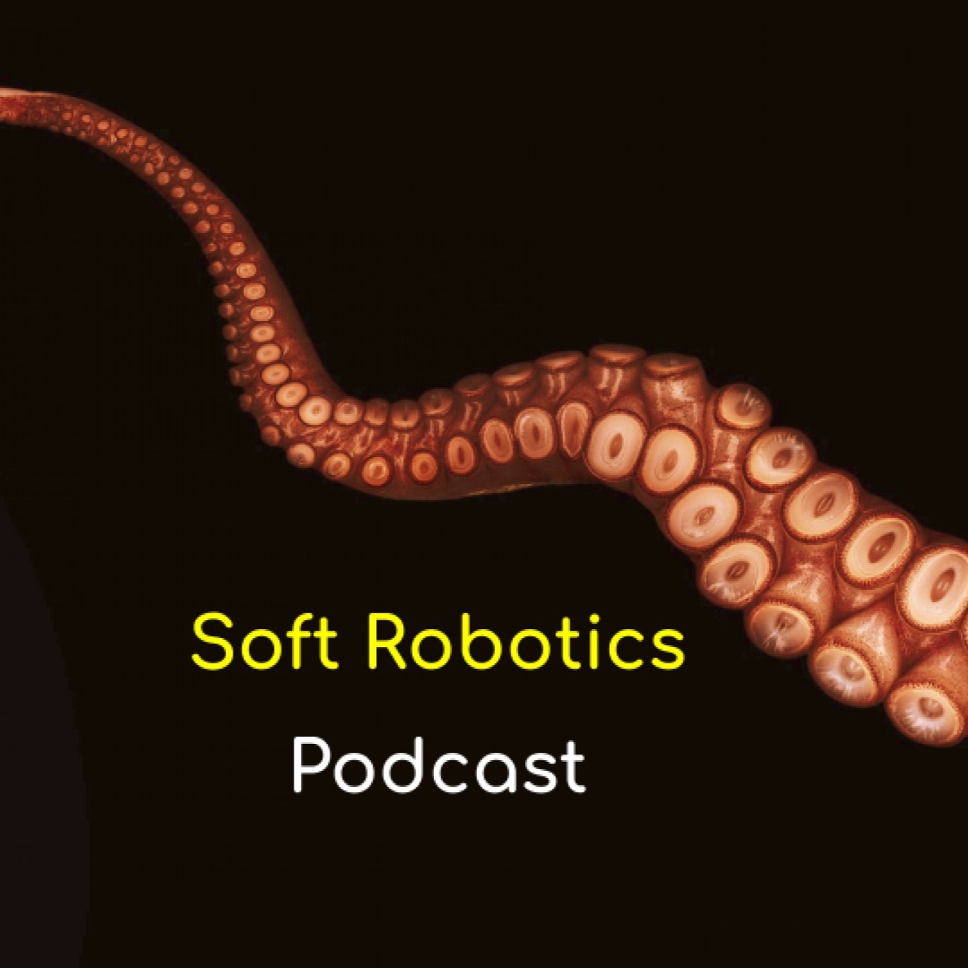 Chiara Daraio "On Combining structure and material optimization" episode artwork