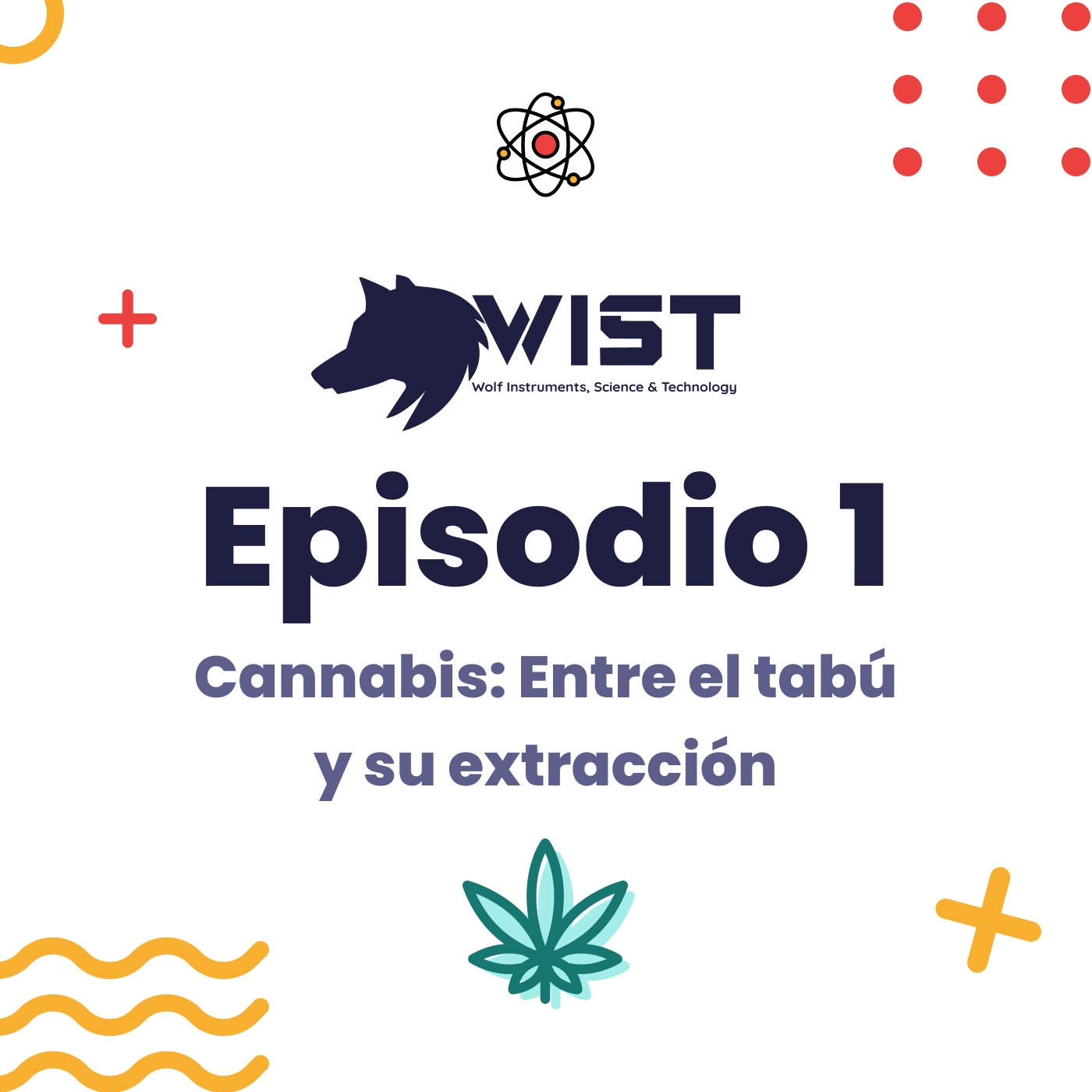 Cannabis: Entre el tabú y su extracción