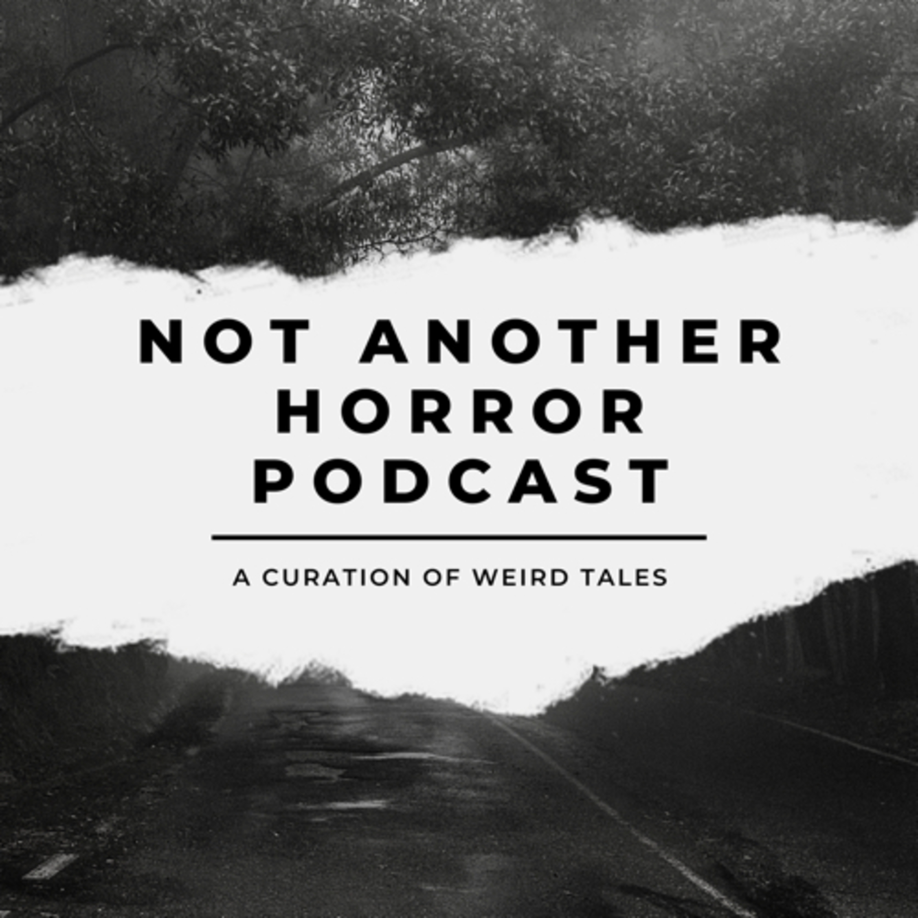 Not Another Horror Podcast