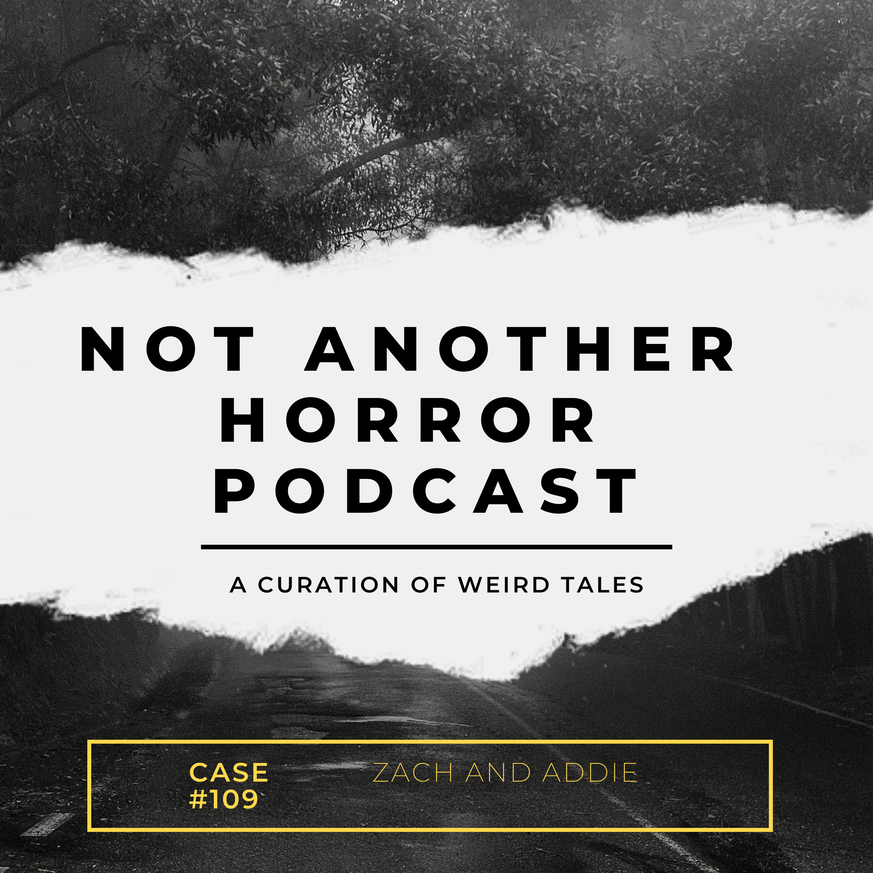 Not Another Horror Podcast