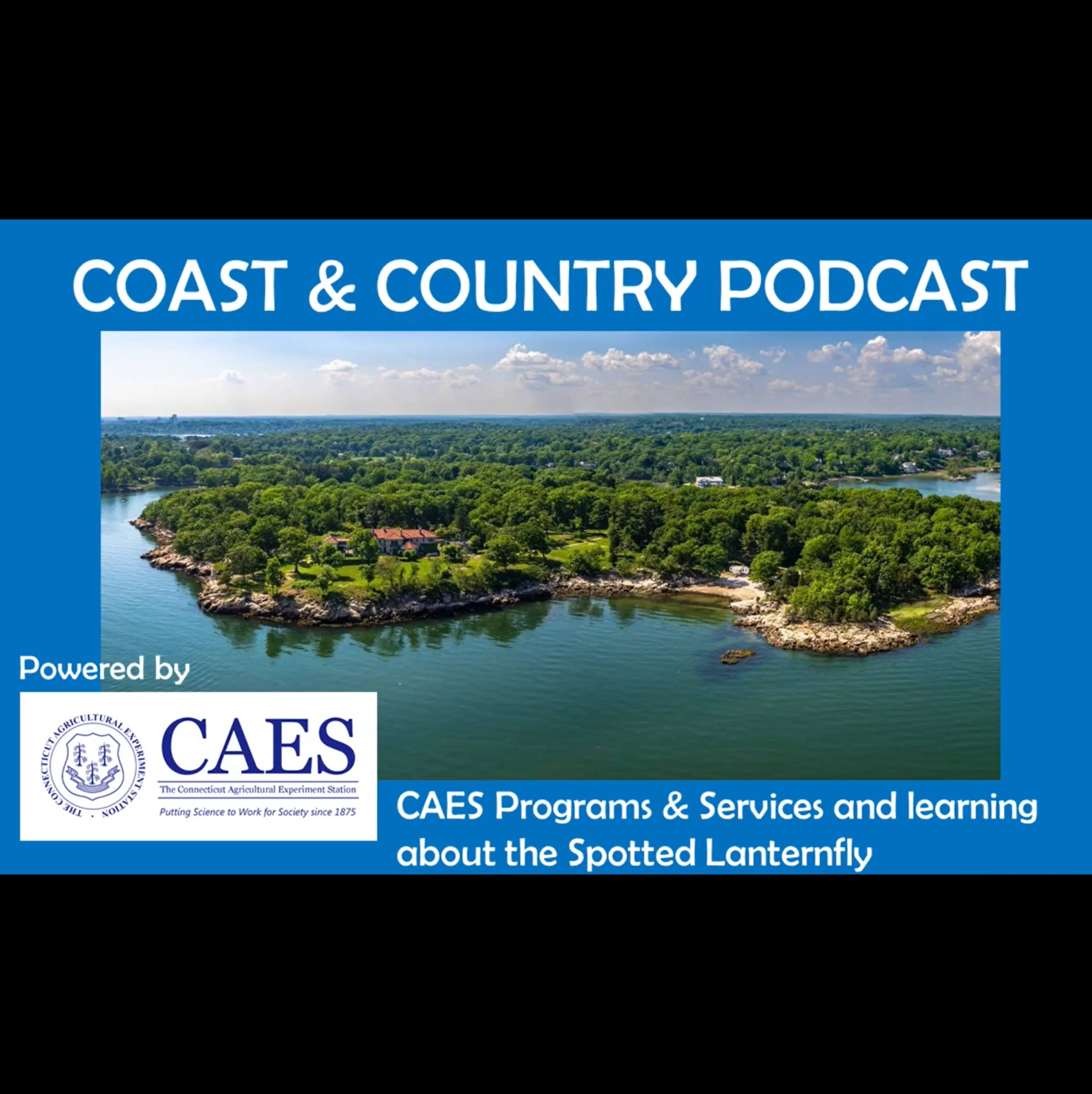 CAES Programs, Services, and the Spotted Lanternfly