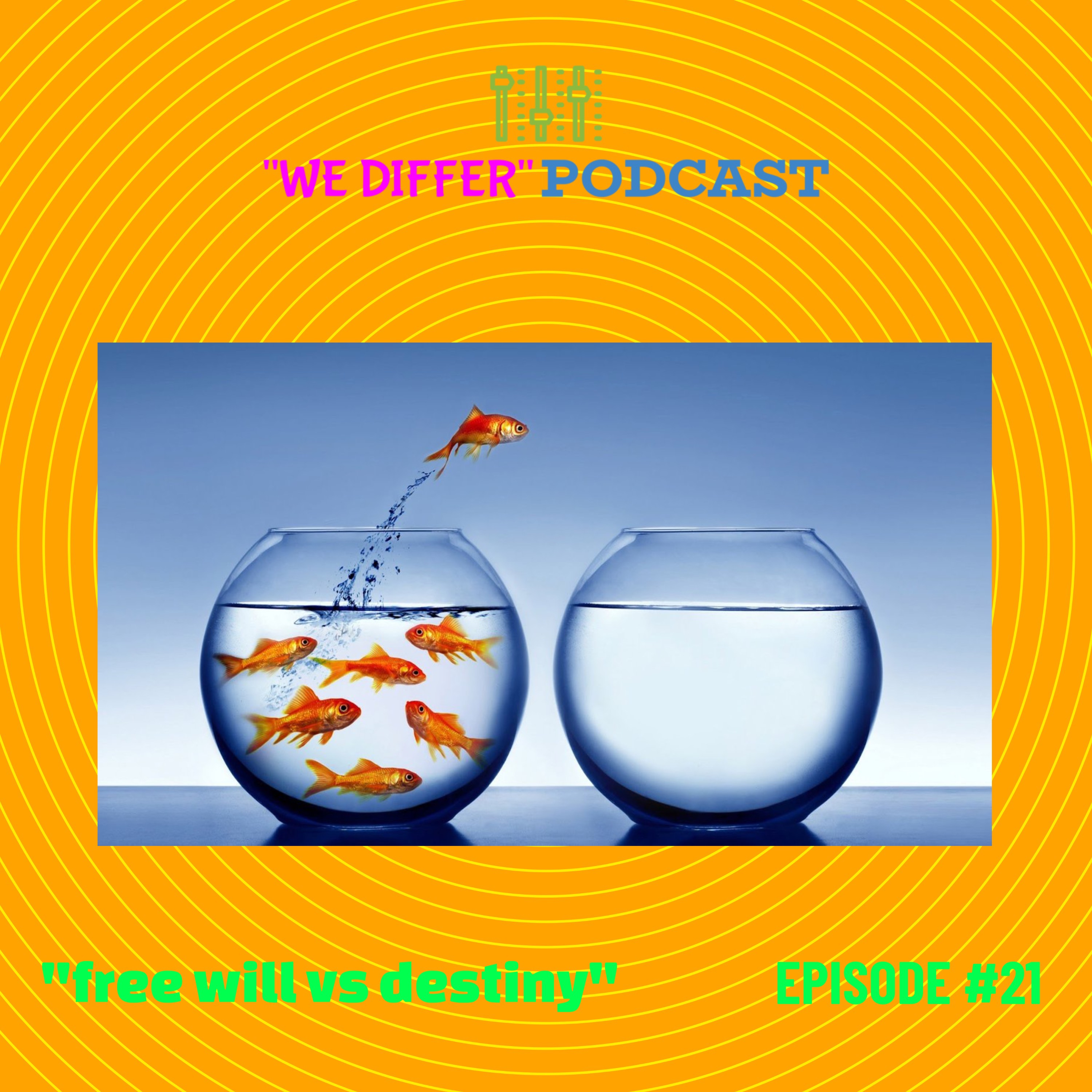 We Differ Podcast