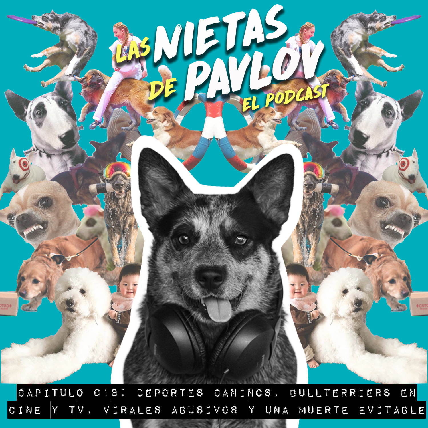 Las Nietas de Pavlov