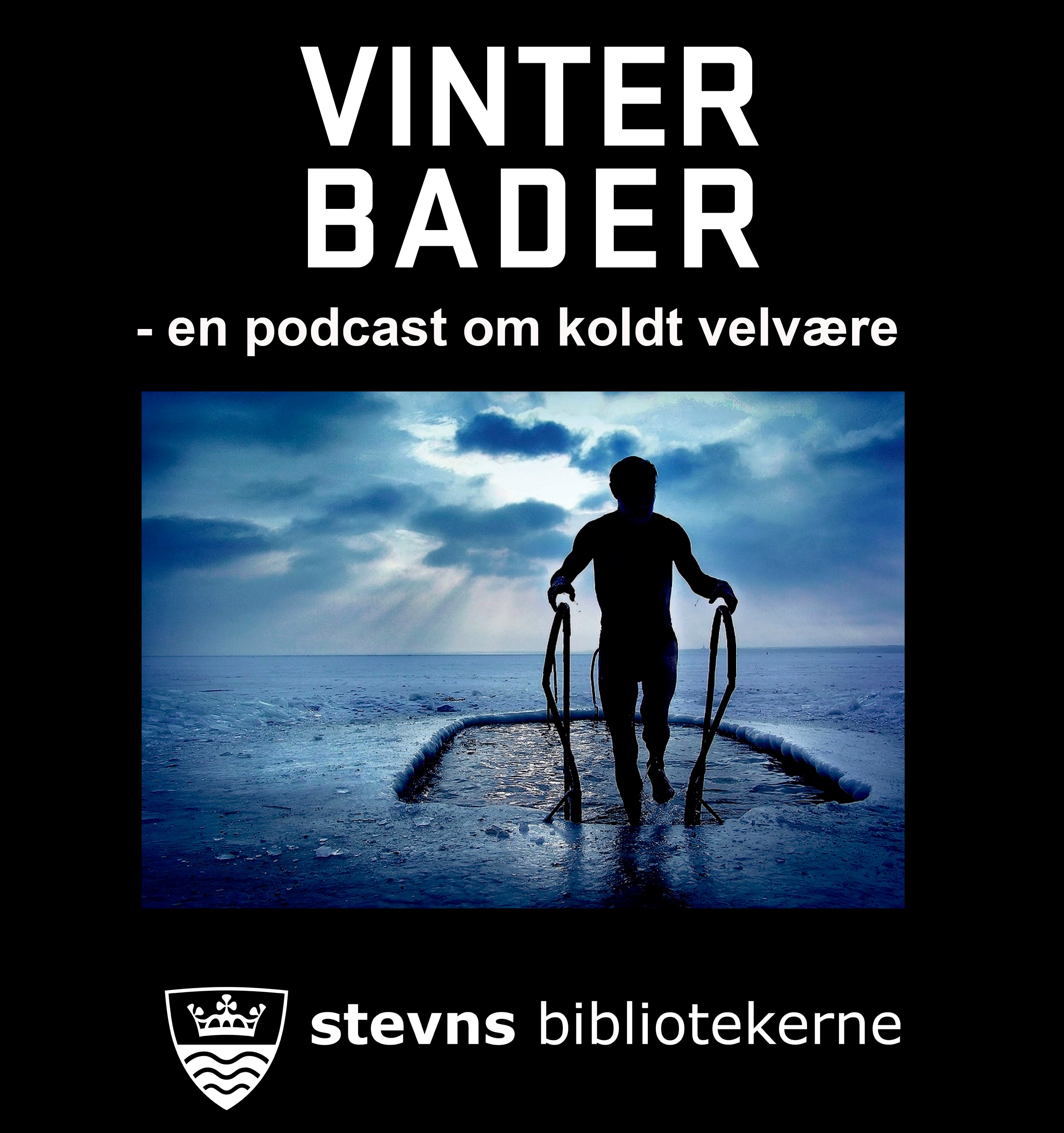 Audio Player Image