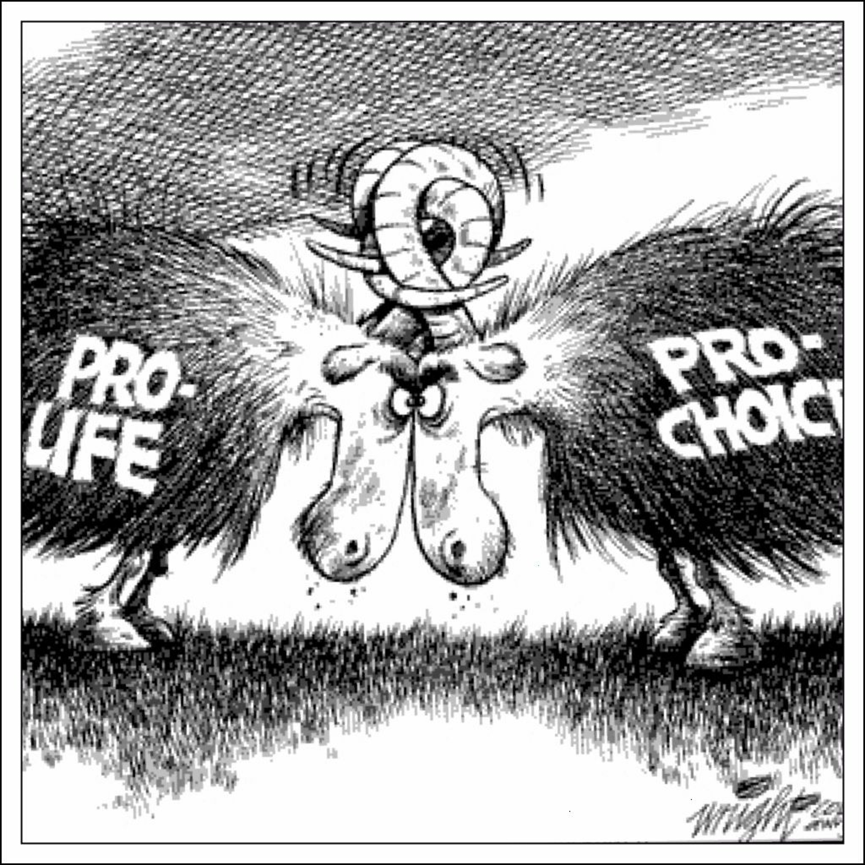 Roe V. Wade Argument - 1973 episode artwork