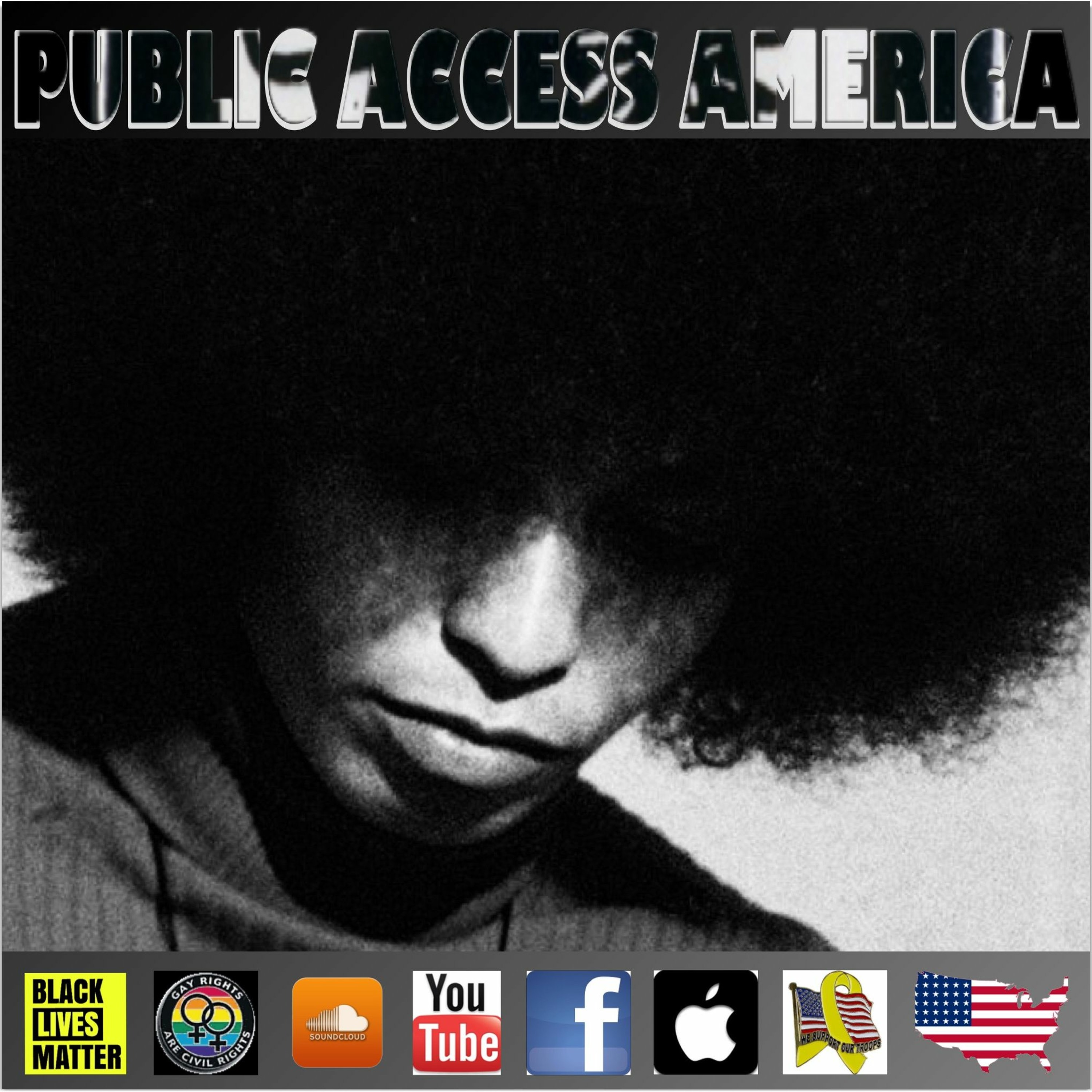 Angela Davis- The Prison: Criminal Justice Lecture episode artwork