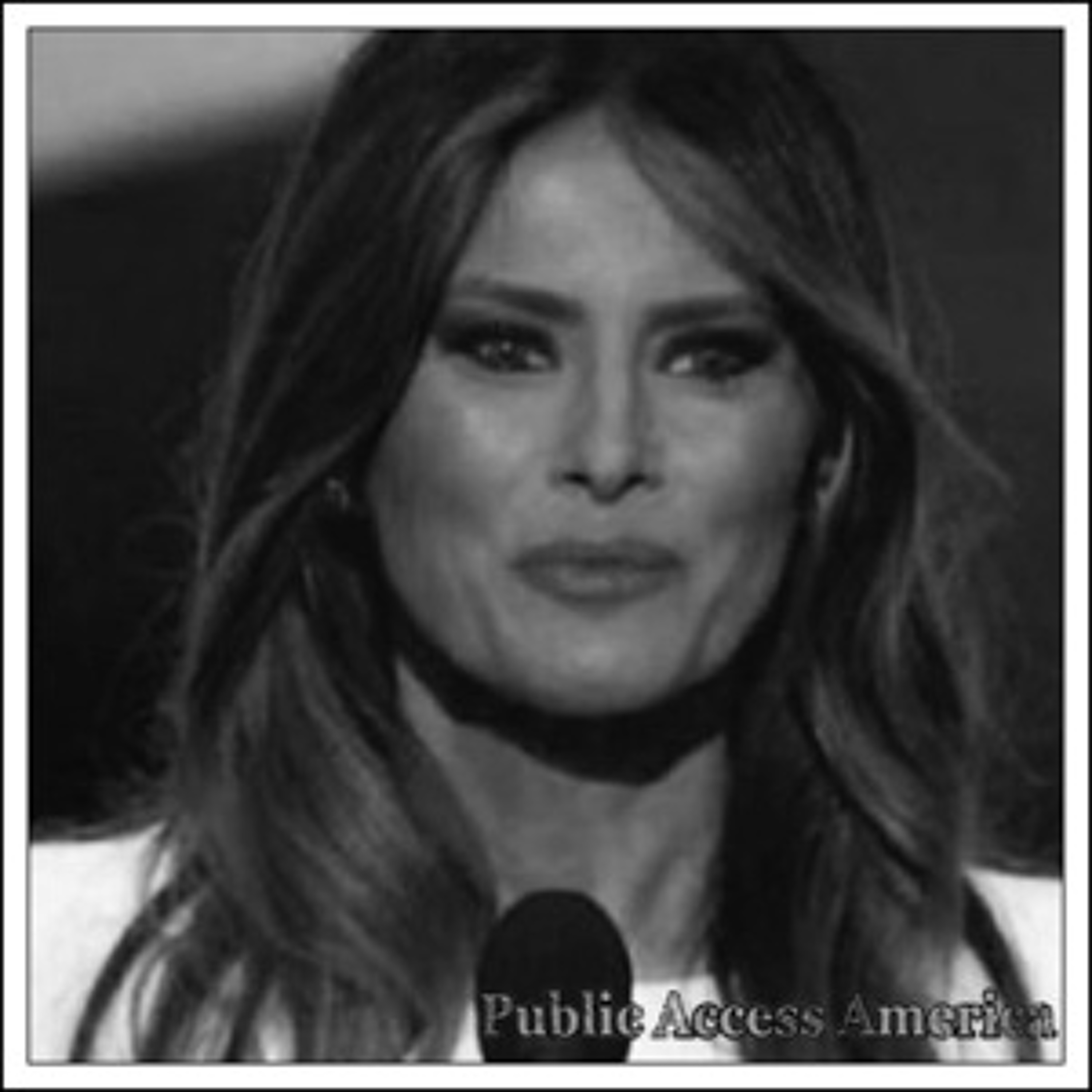 Melania Trump's speech at the 2016 Republican National Convention