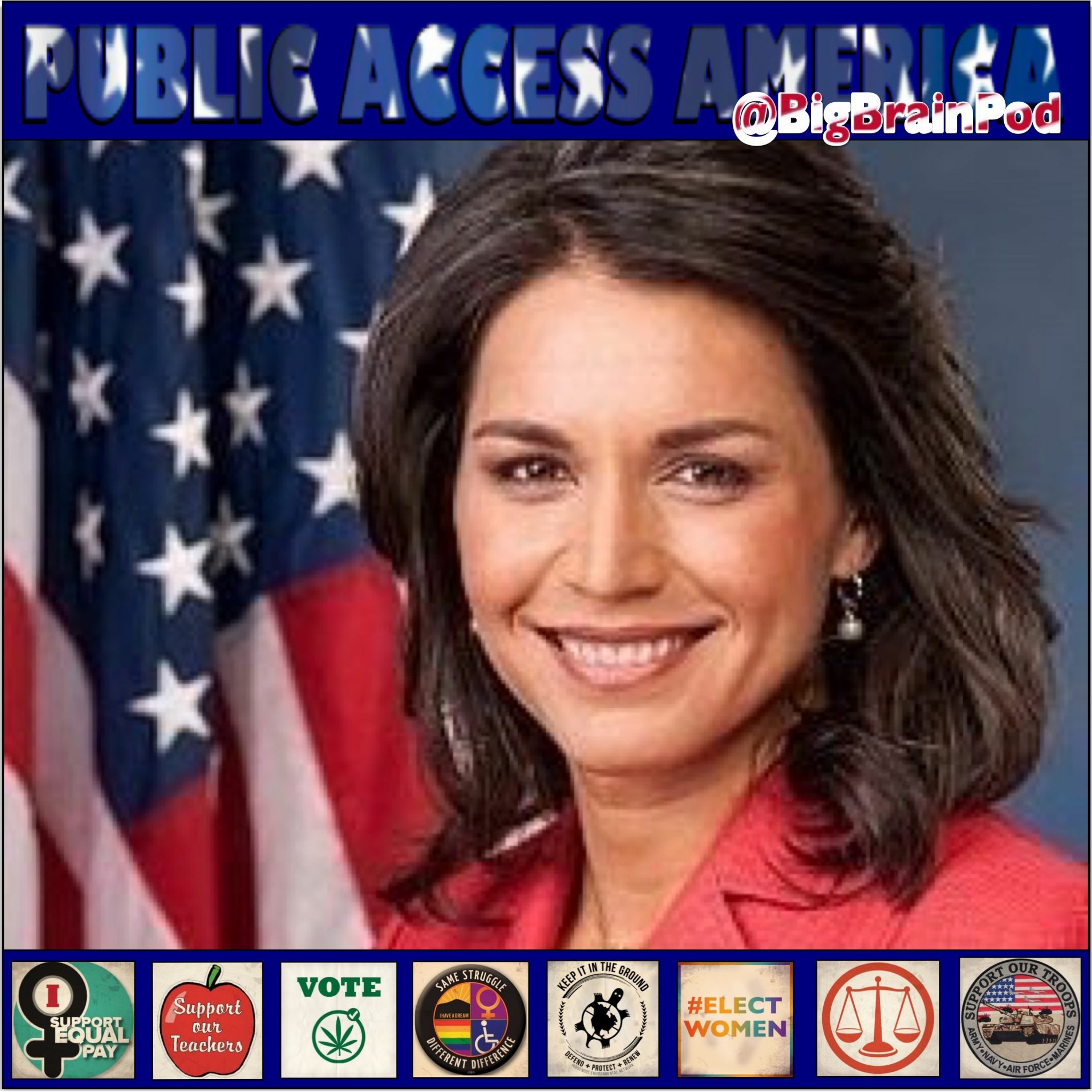 Stop Overthrowing Governments- Tulsi Gabbard-HI (D2) episode artwork