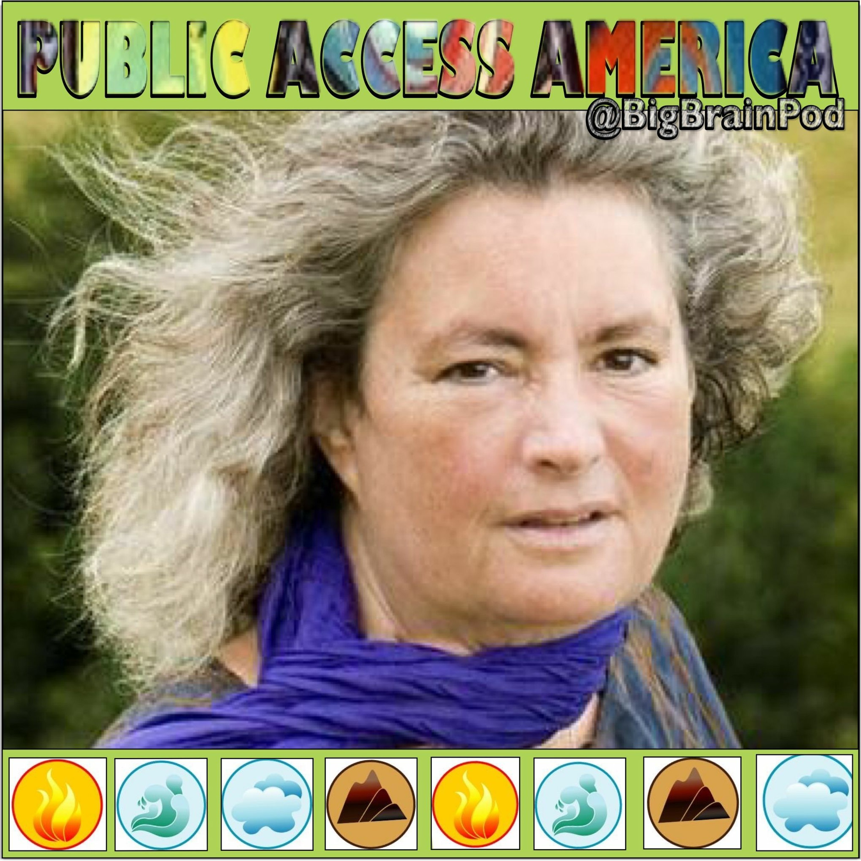 Public Access America
