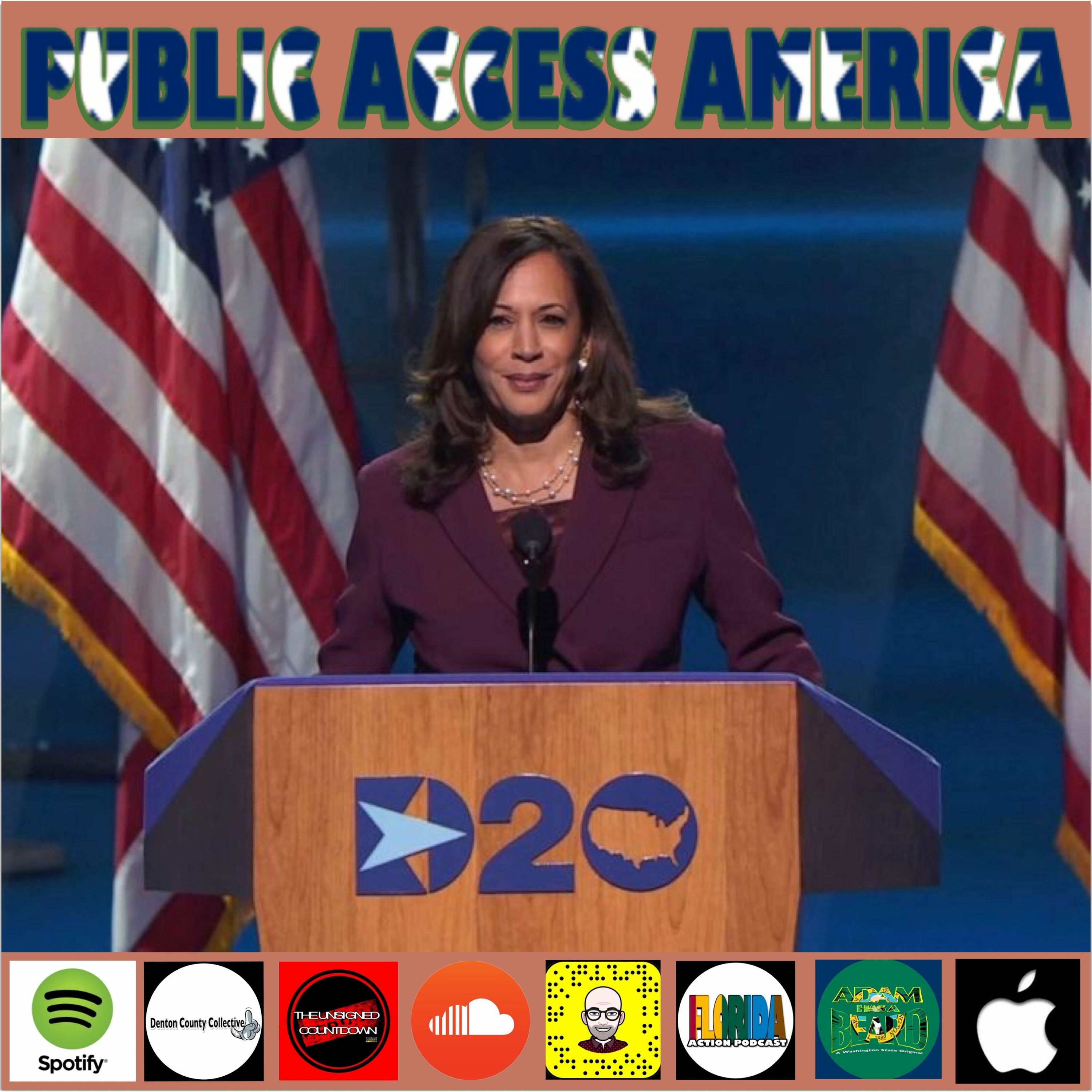 kamala Harris Acceptance Speech At The Democratic National Convention episode artwork