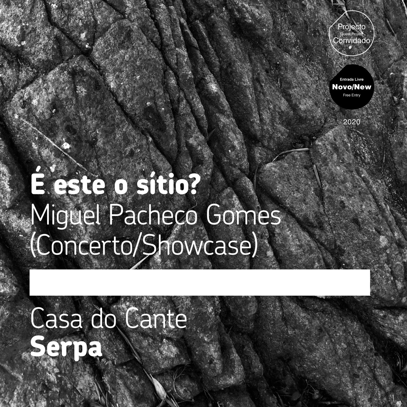 Audio Player Image