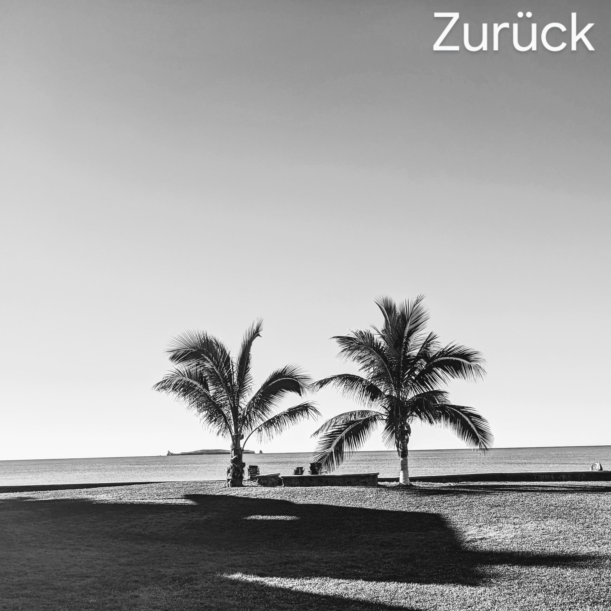 Audio Player Image