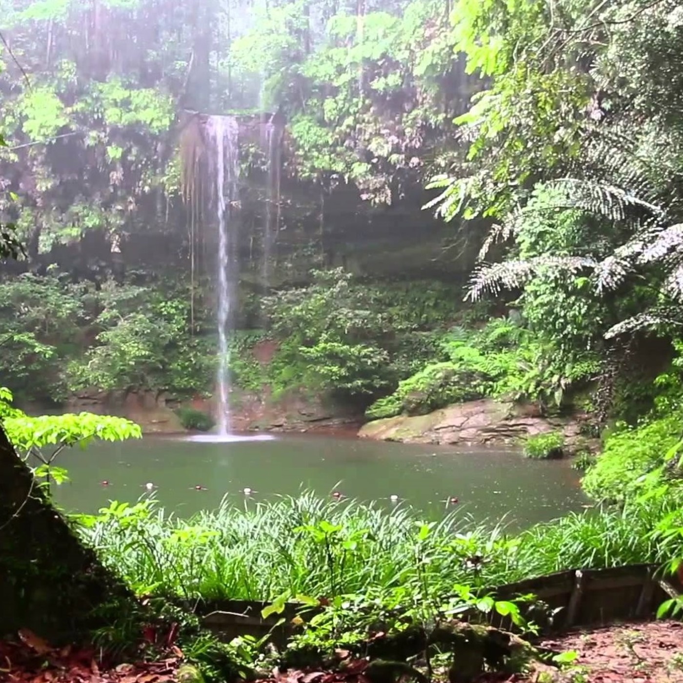 Cloud Jazz Smooth Jazz