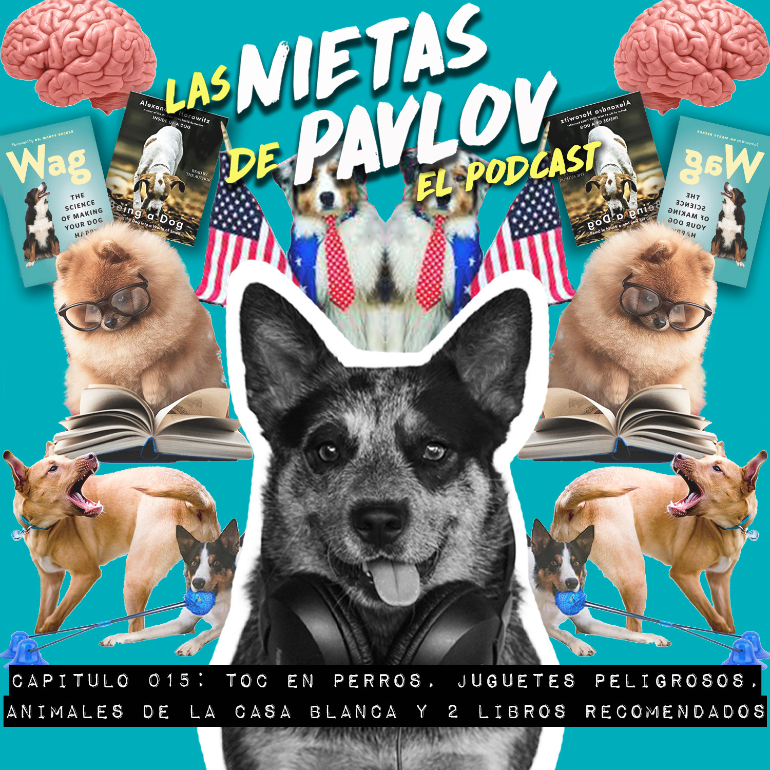 Las Nietas de Pavlov