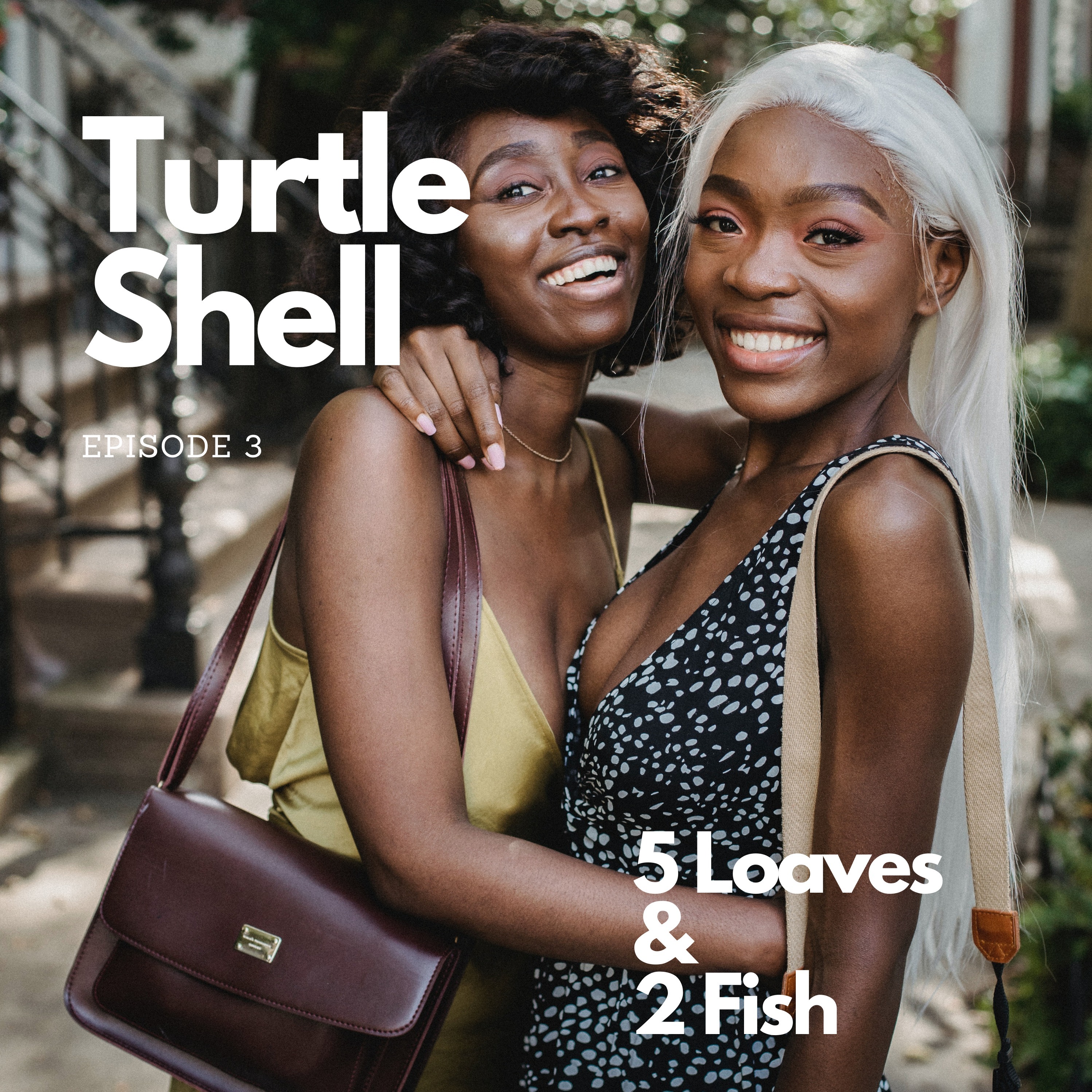 "Turtle Shell"
