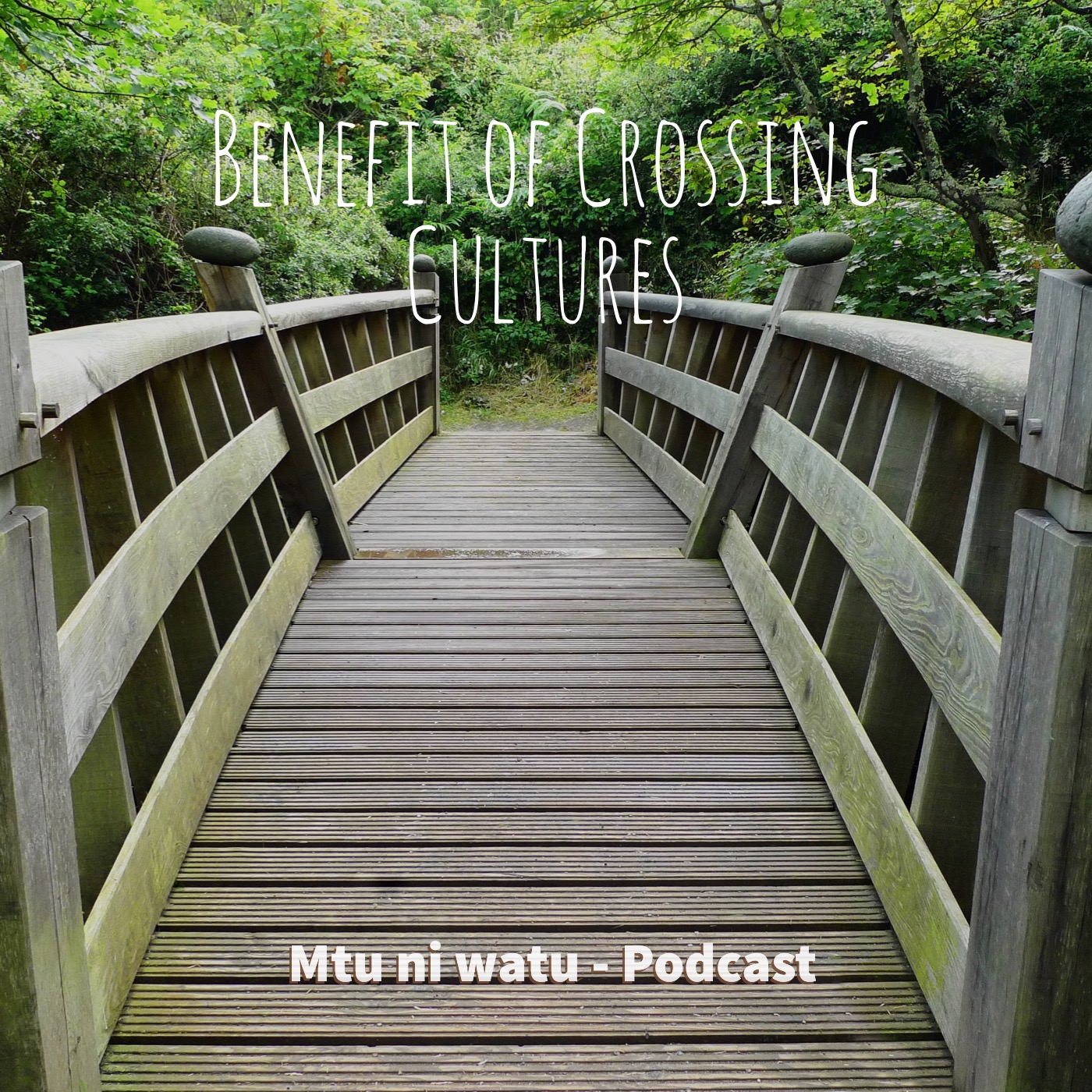Benefit Of Crossing Cultures episode artwork