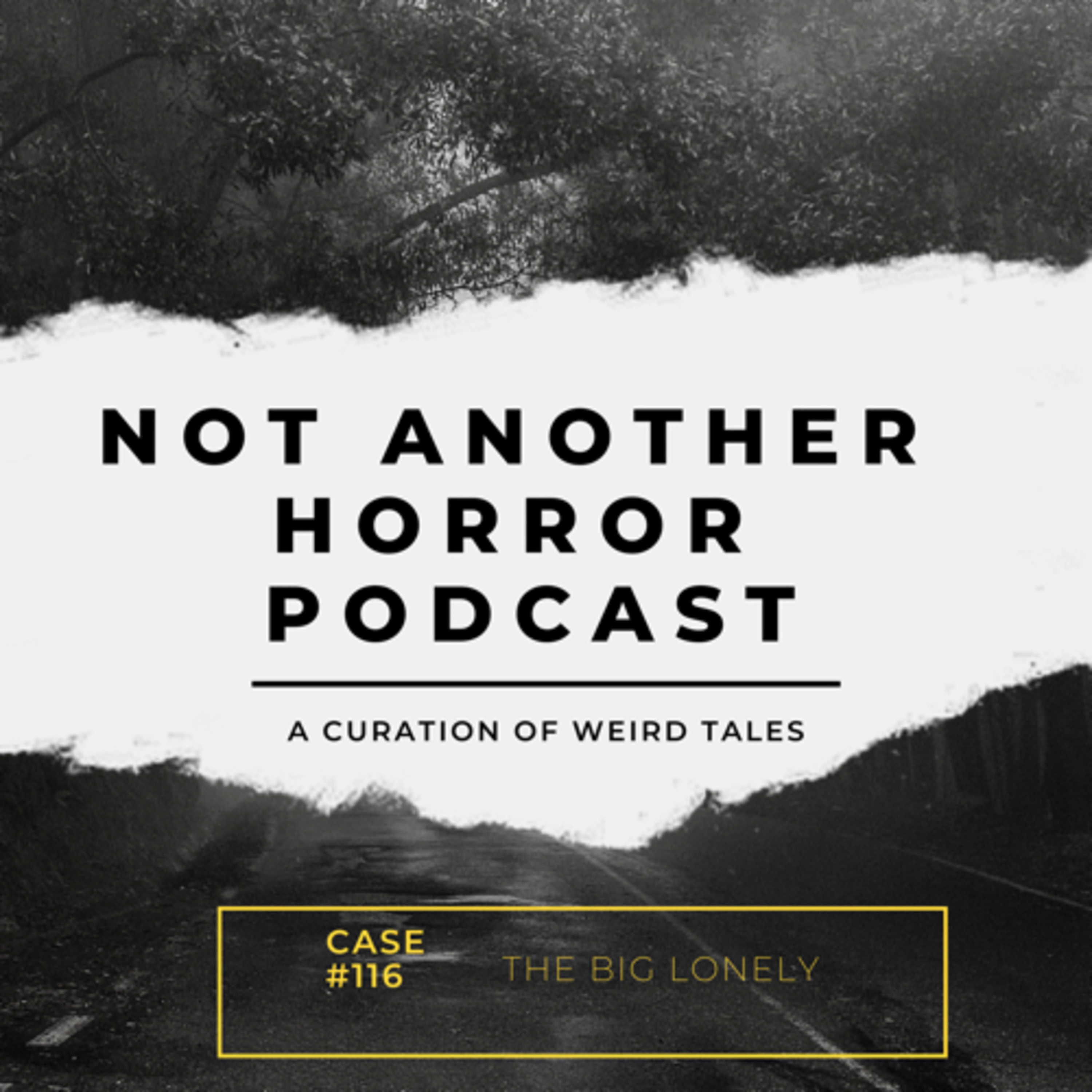 Not Another Horror Podcast