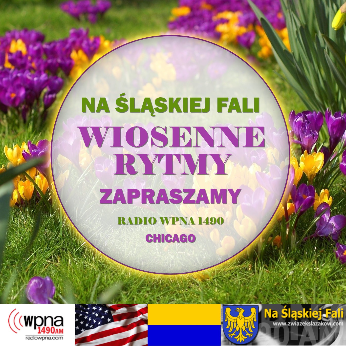 Wiosenne Rytmy NSF episode artwork